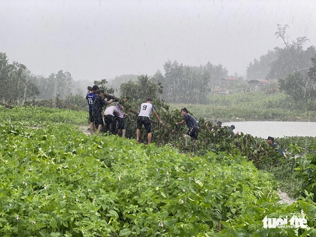 Floodwater brought a large volume of garbage and tree branches into the lake. Photo: Doan Nhan / Tuoi Tre