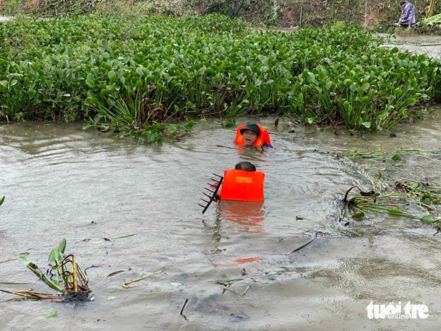 Volunteers have to wade in the water to collect water hyacinth. Photo: Doan Nhan / Tuoi Tre