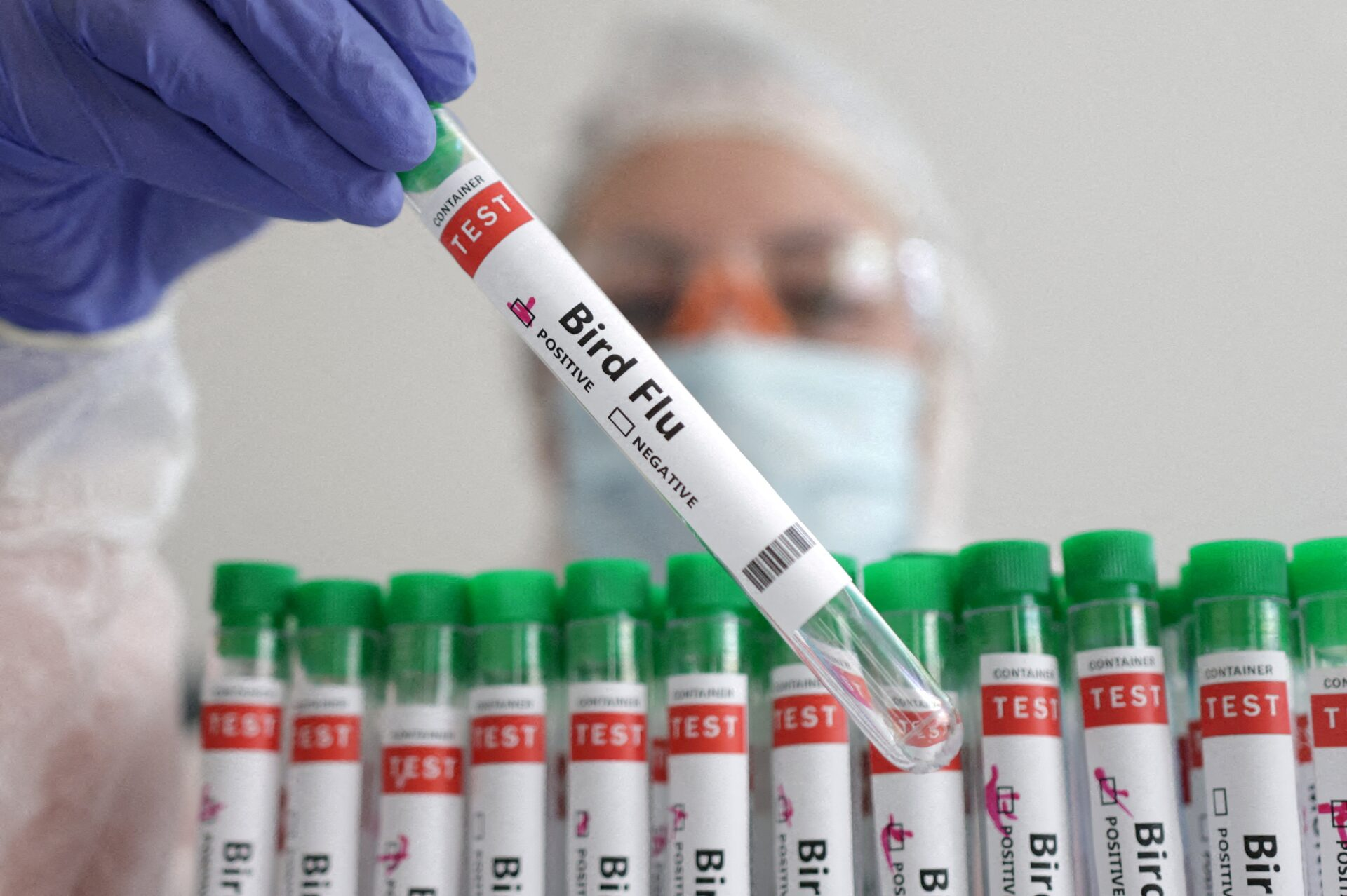 A person holds a test tube labelled 'Bird Flu,' in this picture illustration, January 14, 2023. Photo: Reuters