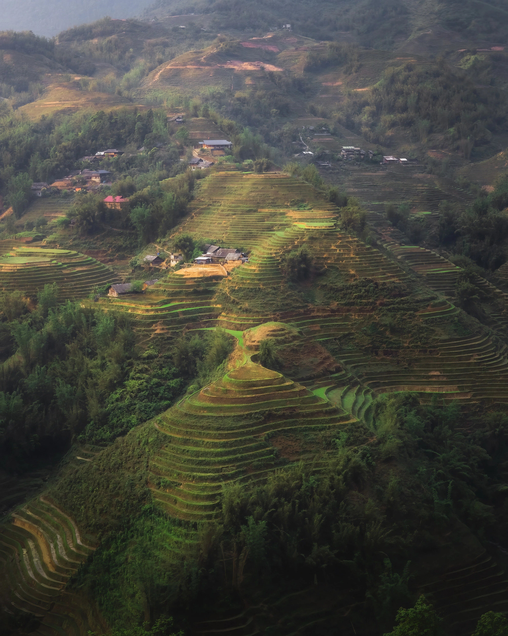 Terraced paddy fields in Sa Pa Town, Lao Cai Province, northern Vietnam. Photo taken by Harry Bradley