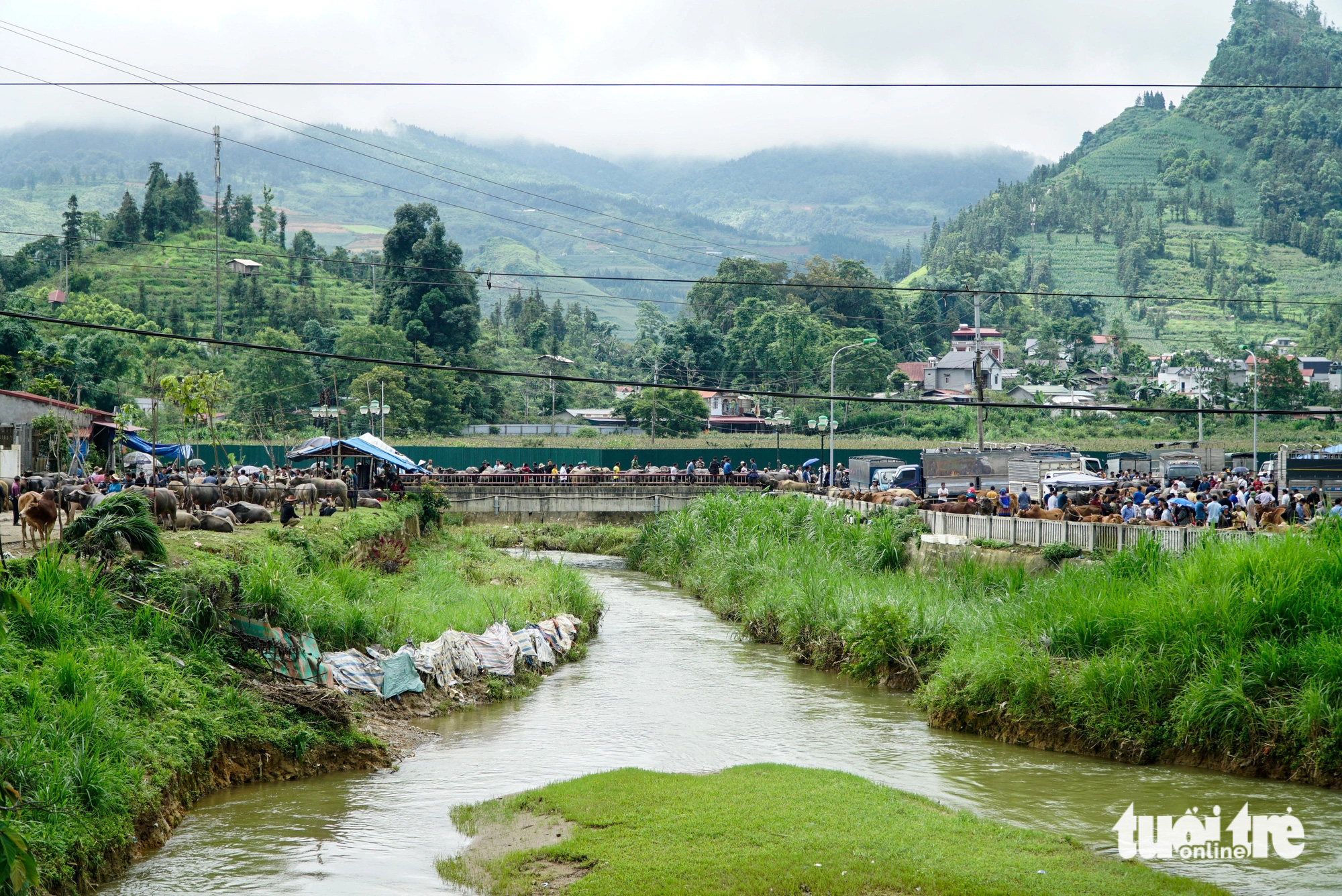 The Bac Ha Cattle market convenes on both sides of a local river in Bac Ha Town, Lao Cai Province, northern Vietnam. Photo: Nguyen Hien / Tuoi Tre