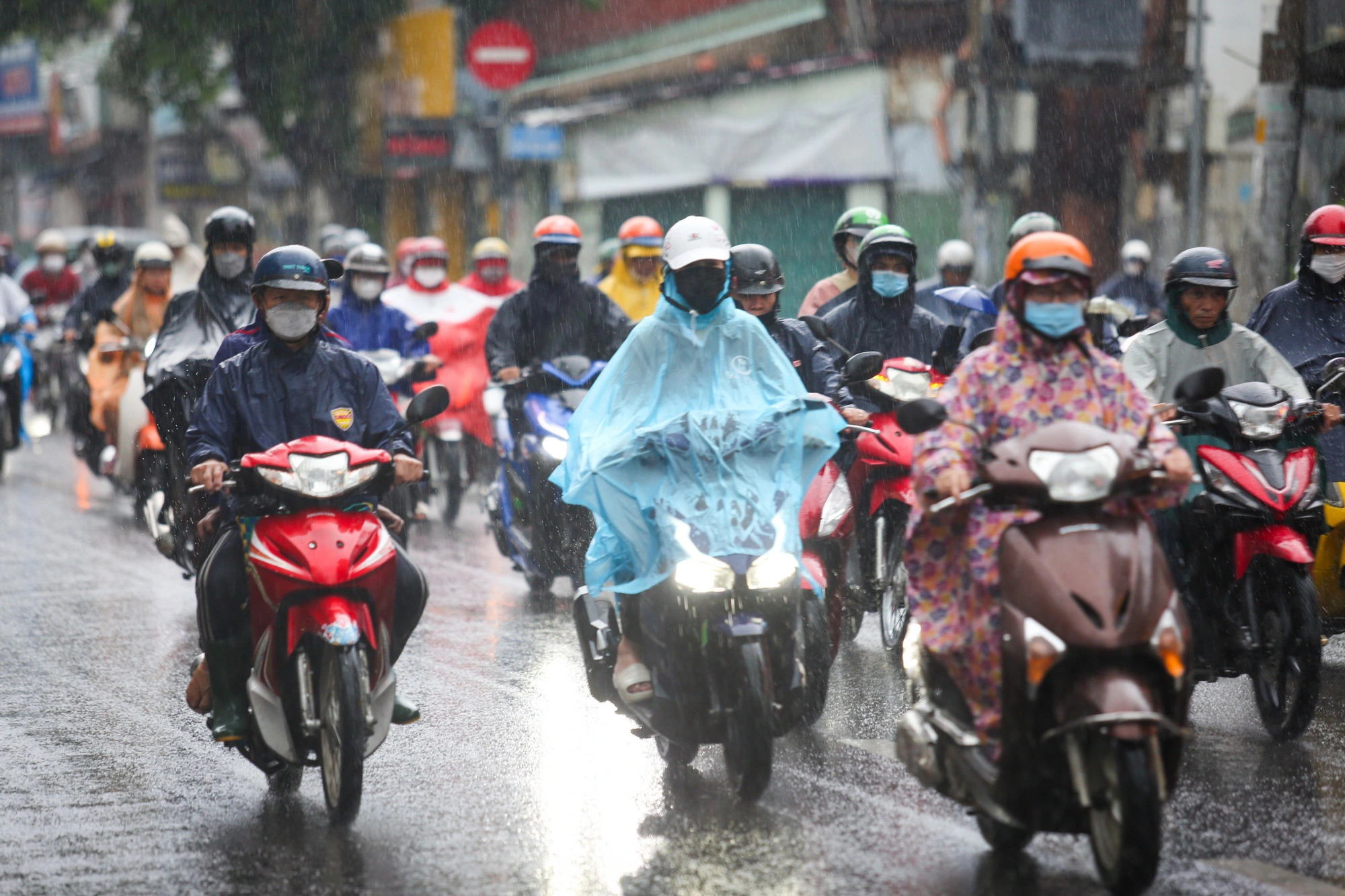 Heavy rainfall uproots trees, floods streets in Ho Chi Minh City