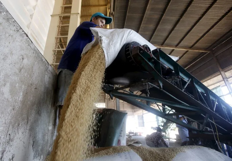 Philippines wants to boost rice cooperation with Vietnam to ensure food security