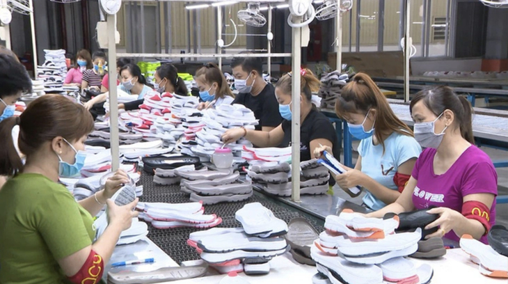 Vietnam’s leather-footwear sector should go green for better competitiveness: int’l workshop