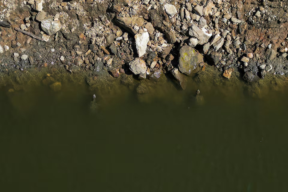 [10/10]A drone view shows turtles inside the Eggares irrigation dam, on the island of Naxos, Greece, June 20, 2024. Photo: Reuters