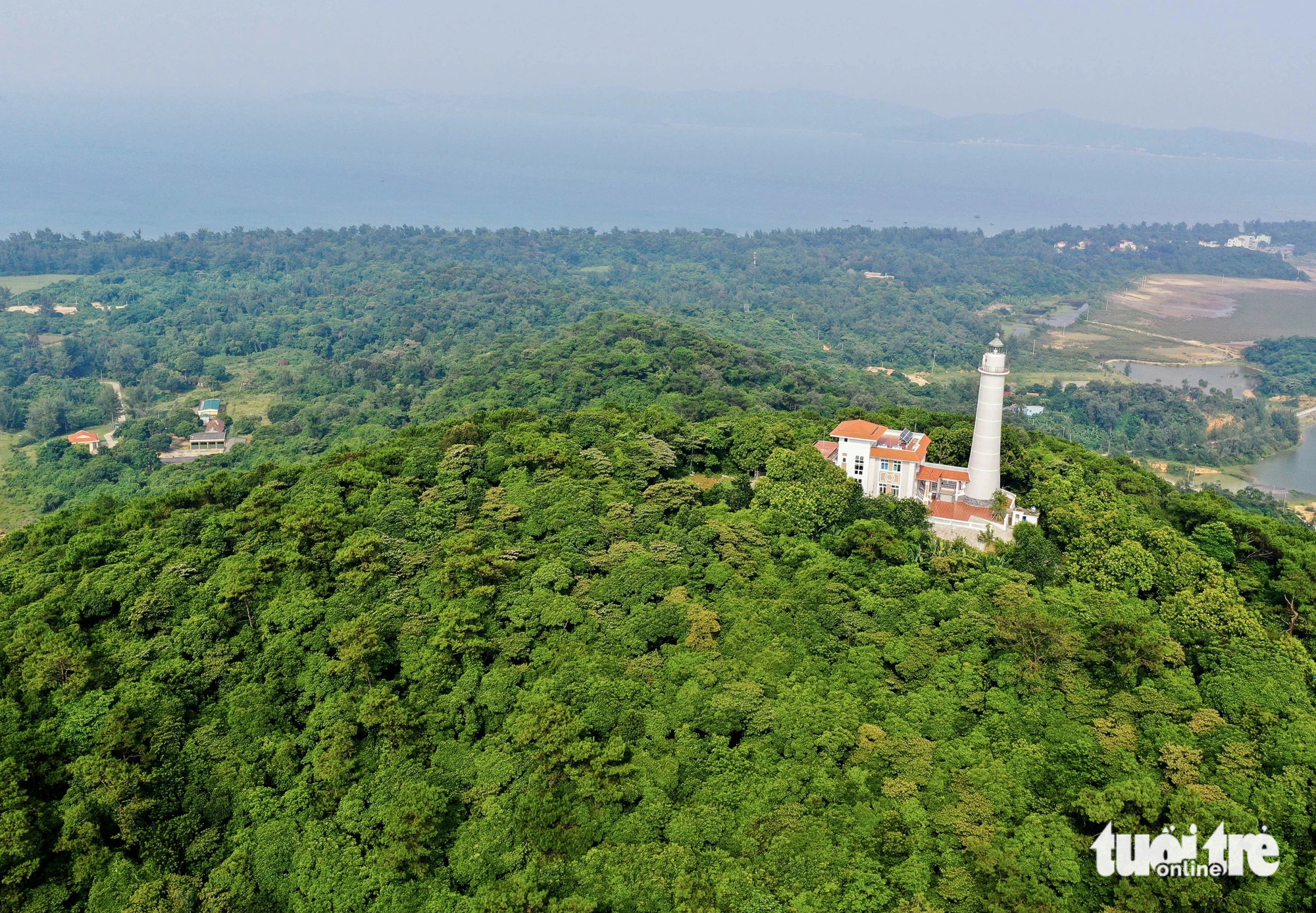 Vietnam's registration, monitoring reports for jurisdictional carbon credits gain ART TREES’ acceptance