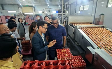 Singapore seeks to import meat, eggs from Vietnam