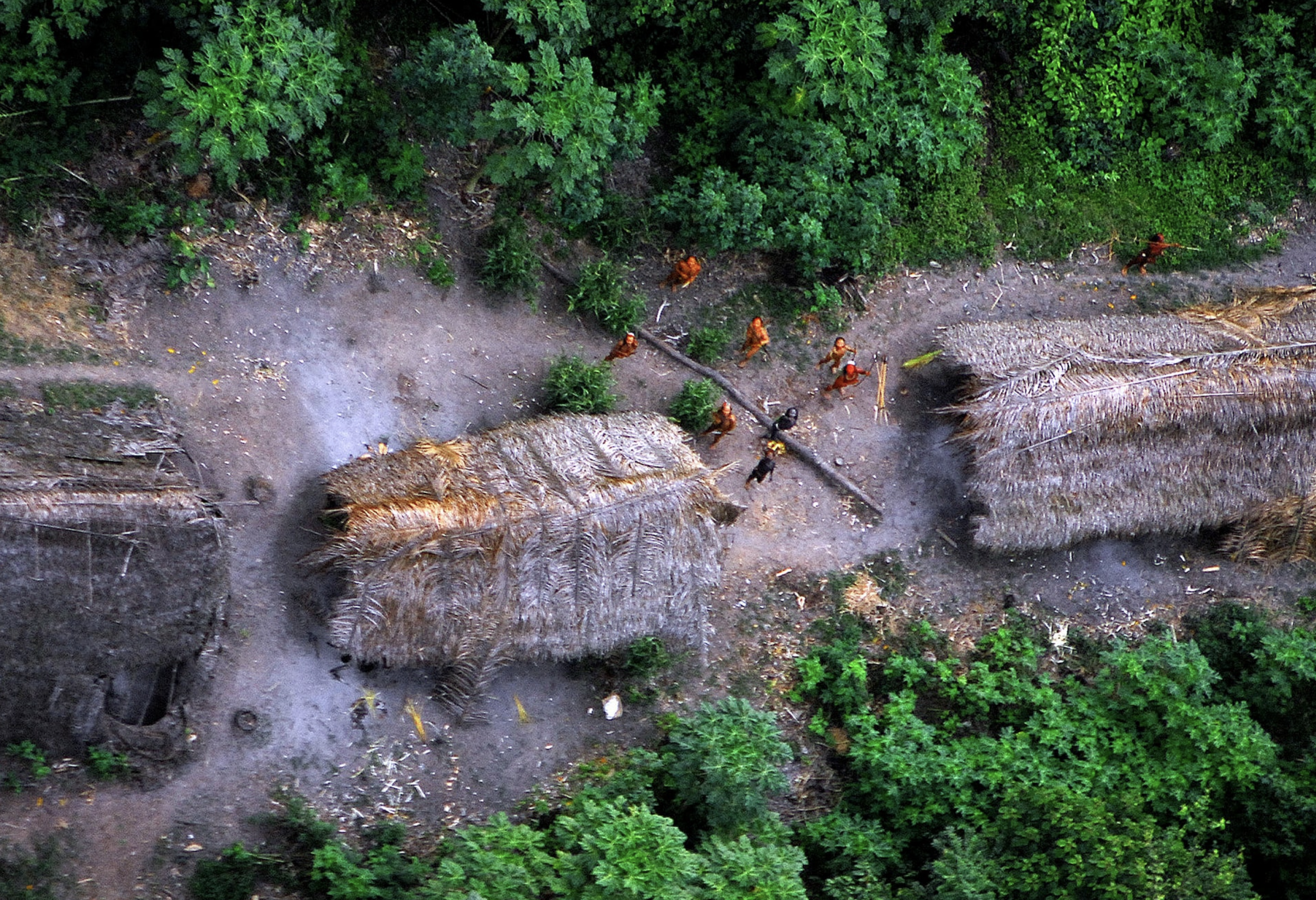 Members of an uncontacted Amazon Basin tribe and their dwellings are seen during a flight over the Brazilian state of Acre along the border with Peru, May 2008. Photo: Reuters