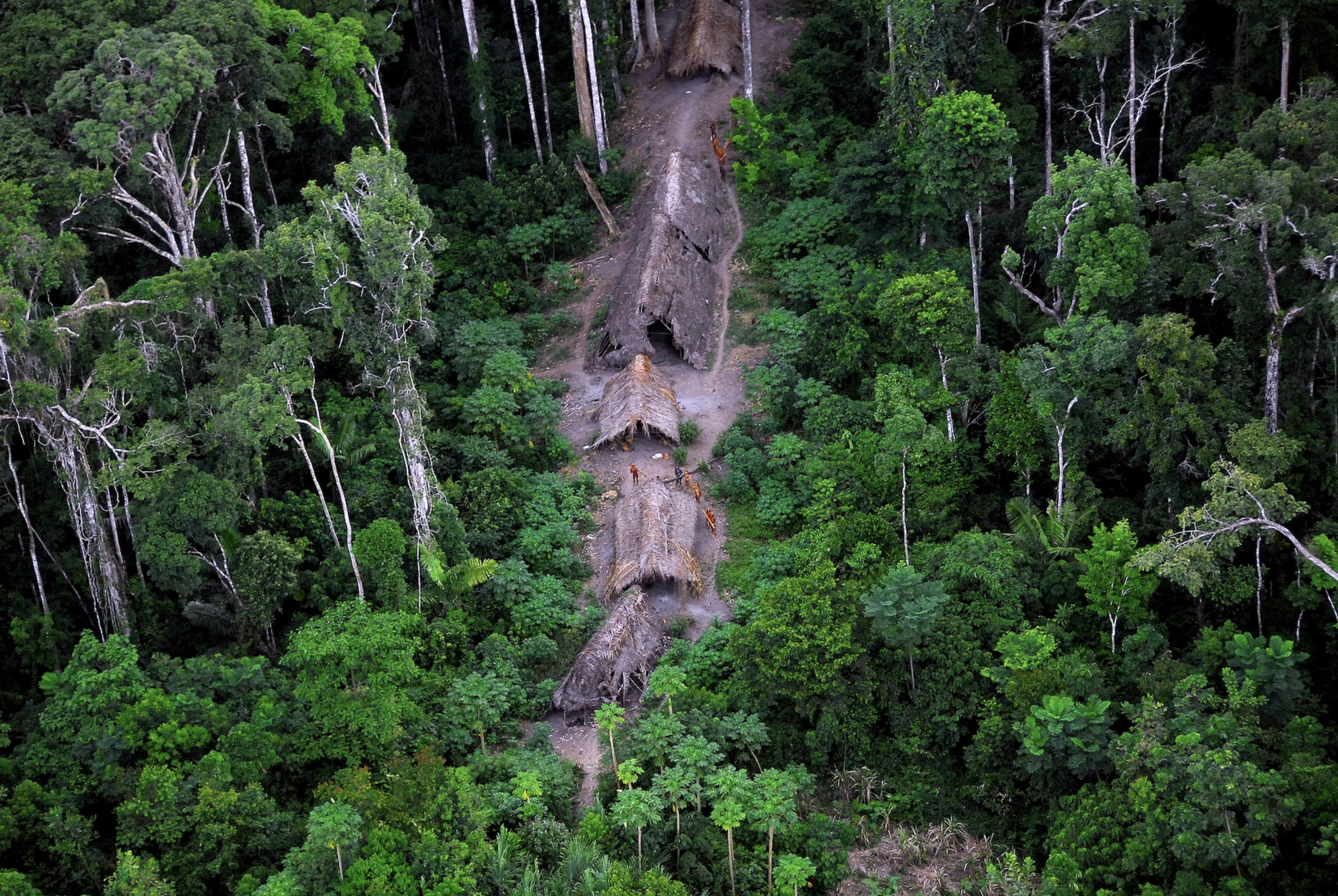 Members of an uncontacted Amazon Basin tribe and their dwellings are seen during a flight over the Brazilian state of Acre along the border with Peru in this May 2008 photo. Photo: Reuters