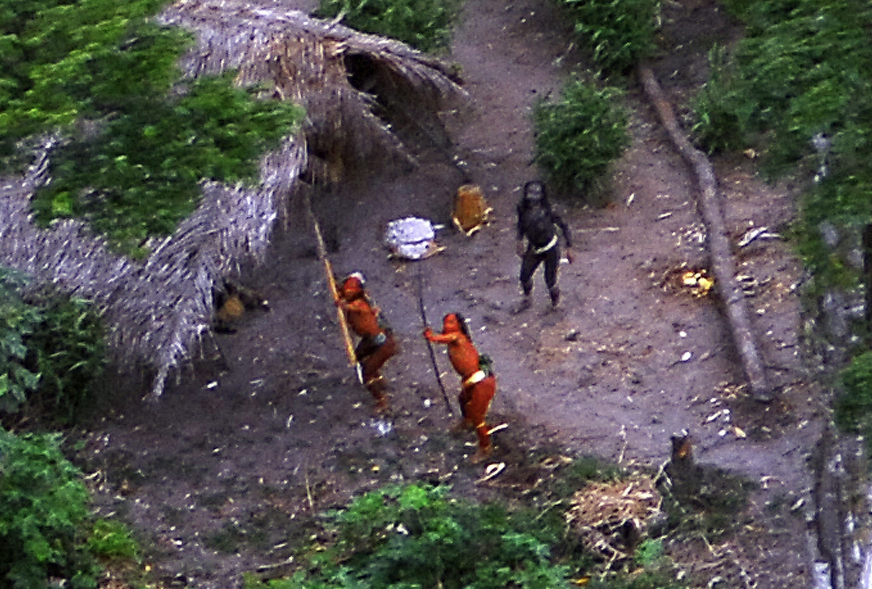 Members of an uncontacted Amazon Basin tribe and their dwellings are seen during a flight over the Brazilian state of Acre along the border with Peru, May, 2008. Photo: Reuters