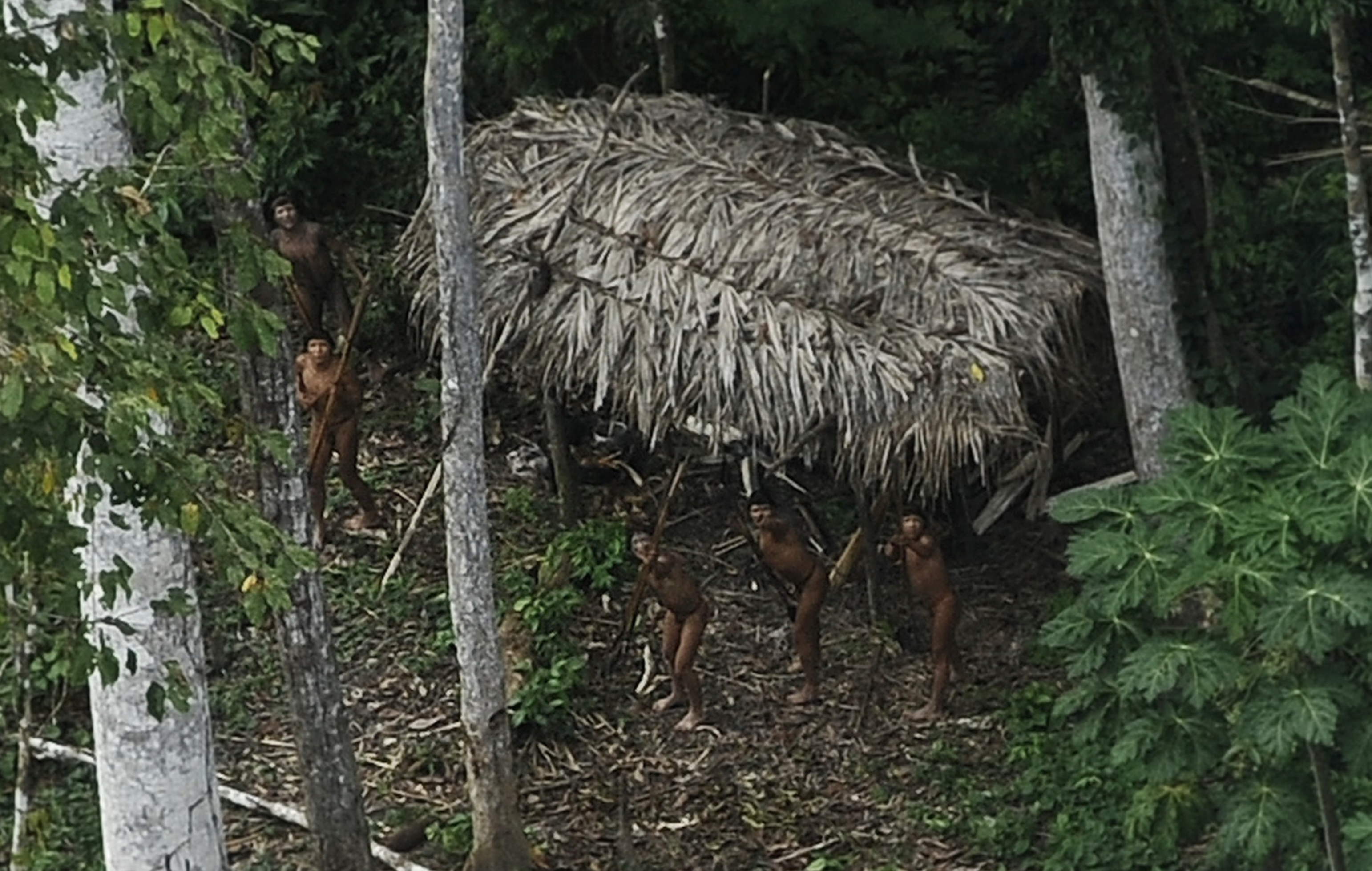 Indians who are considered uncontacted by anthropologists react to a plane flying over their community in the Amazon basin near the Xinane river in Brazil's Acre State, near the border with Peru, March 25, 2014. Photo: Reuters