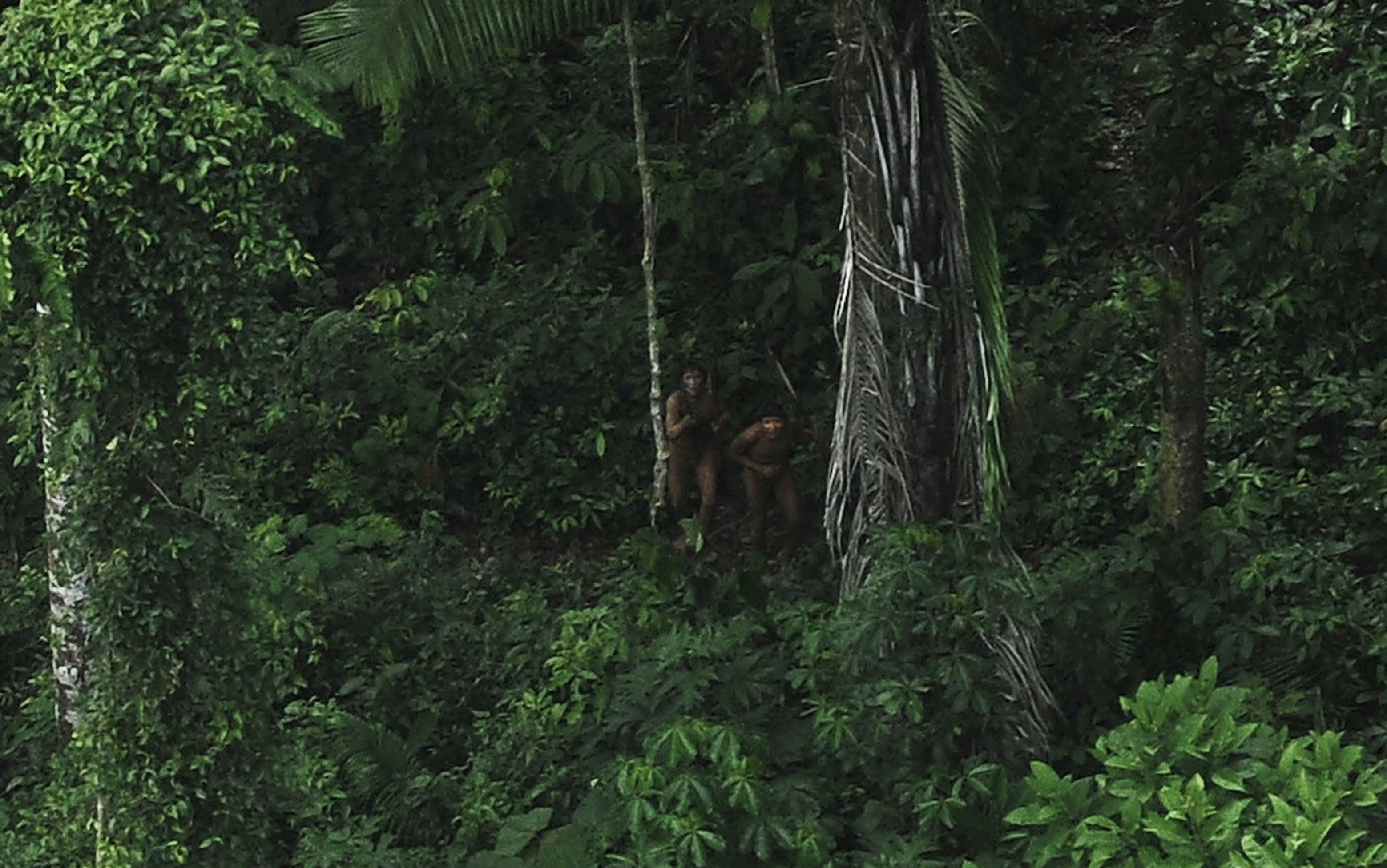 Indians who are considered uncontacted by anthropologists react to a plane flying over their community in the Amazon basin near the Xinane river in Brazil's Acre State, near the border with Peru, March 25, 2014. Photo: Reuters