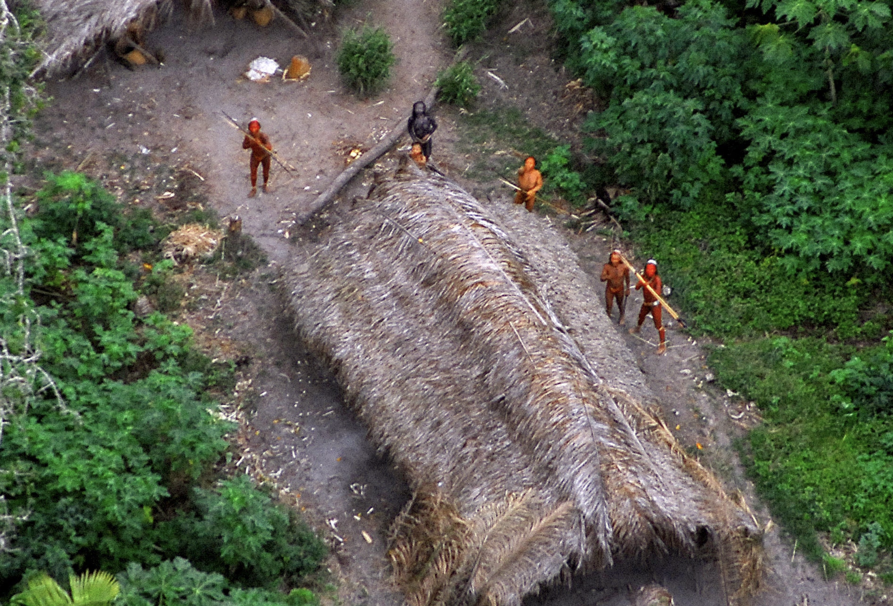 Members of an uncontacted Amazon Basin tribe and their dwellings are seen during a flight over the Brazilian state of Acre along the border with Peru, May 2008. Photo: Reuters