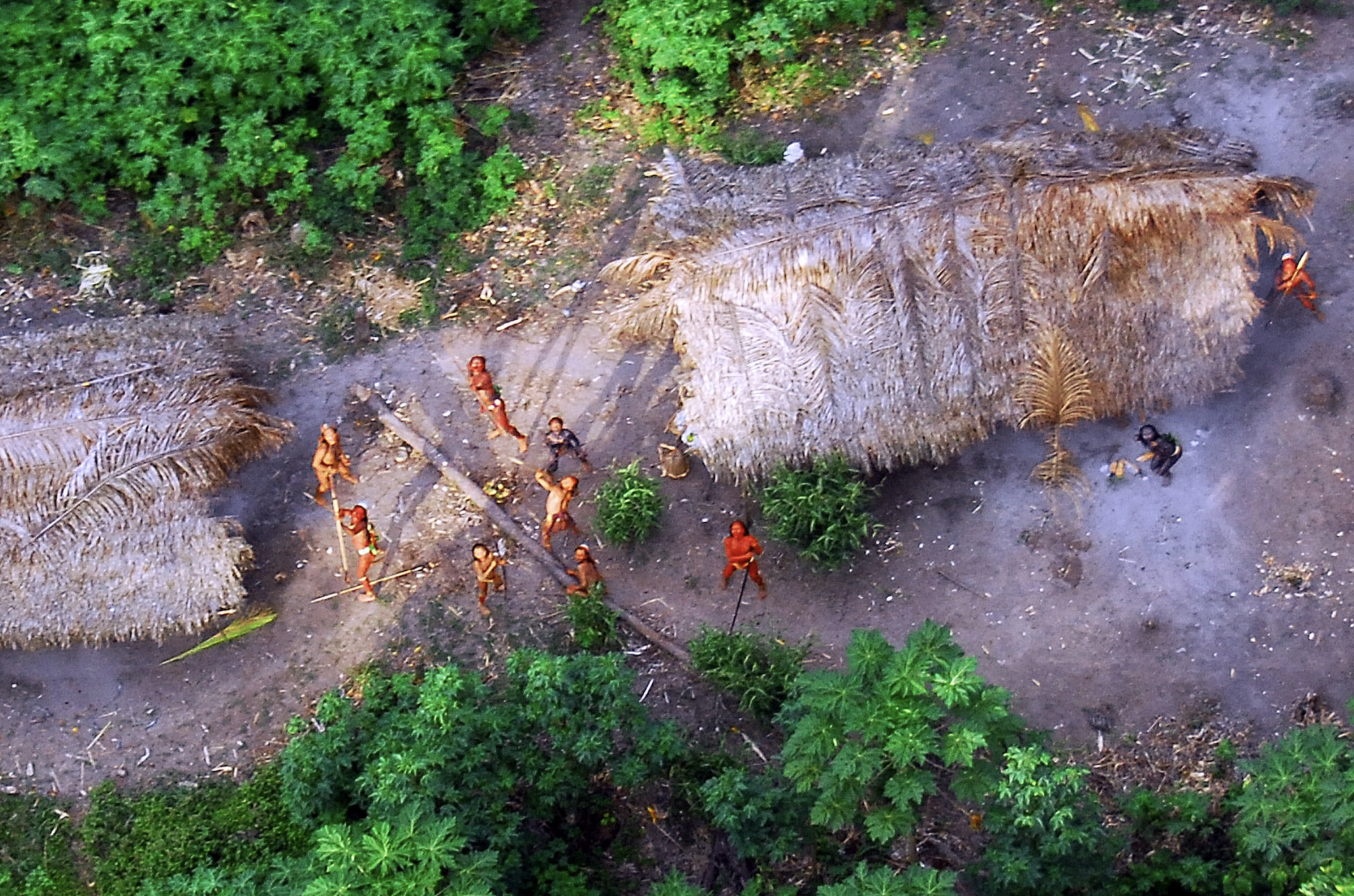 Members of an uncontacted Amazon Basin tribe and their dwellings are seen during a flight over the Brazilian state of Acre along the border with Peru in this May 2008 photo. Photo: Reuters