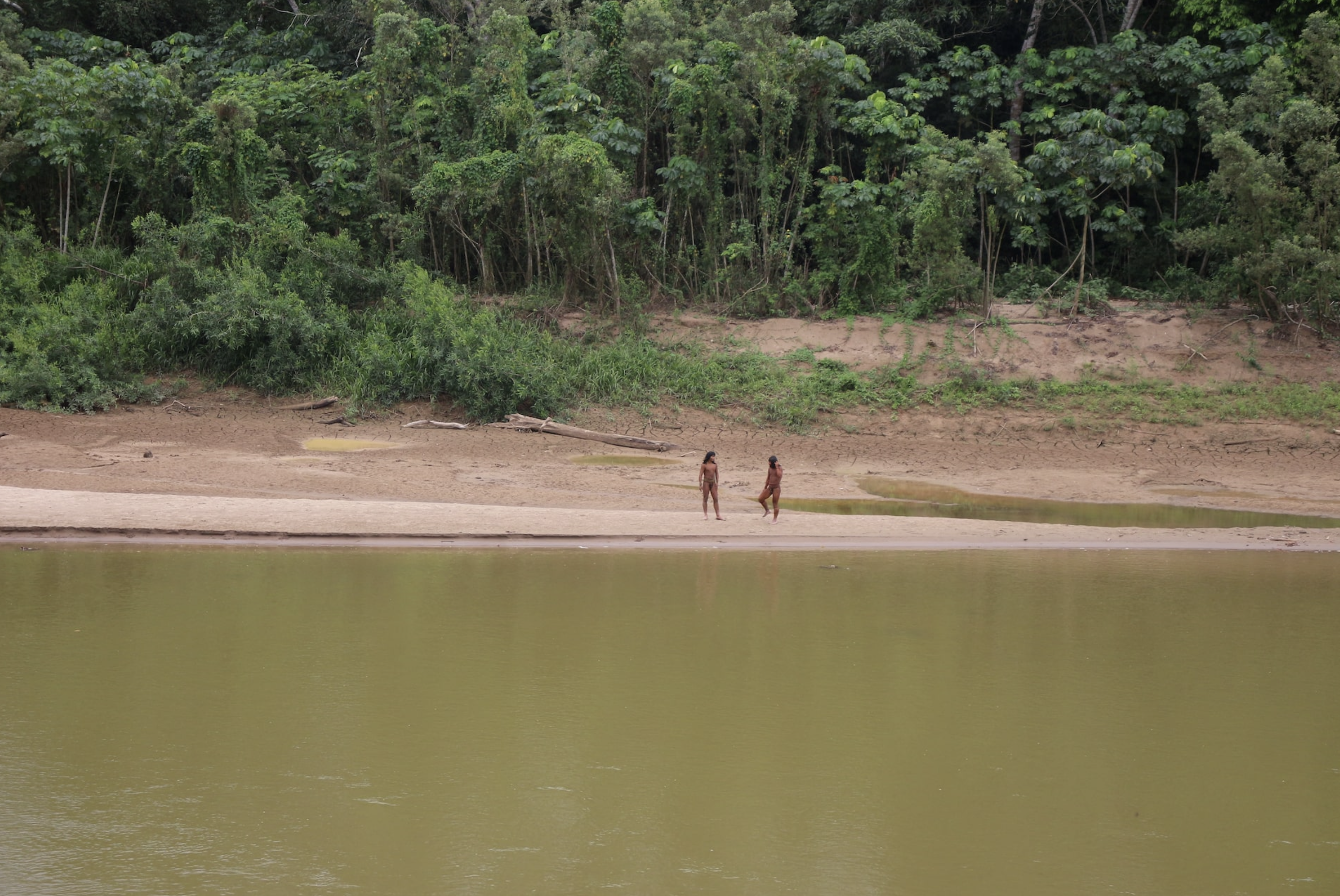 Members of the Mashco Piro Indigenous community, a reclusive tribe and one of the world's most withdrawn, stand on the banks of the Las Piedras river in Monte Salvado, in the Madre de Dios province, Peru, June 27, 2024. Photo: Reuters