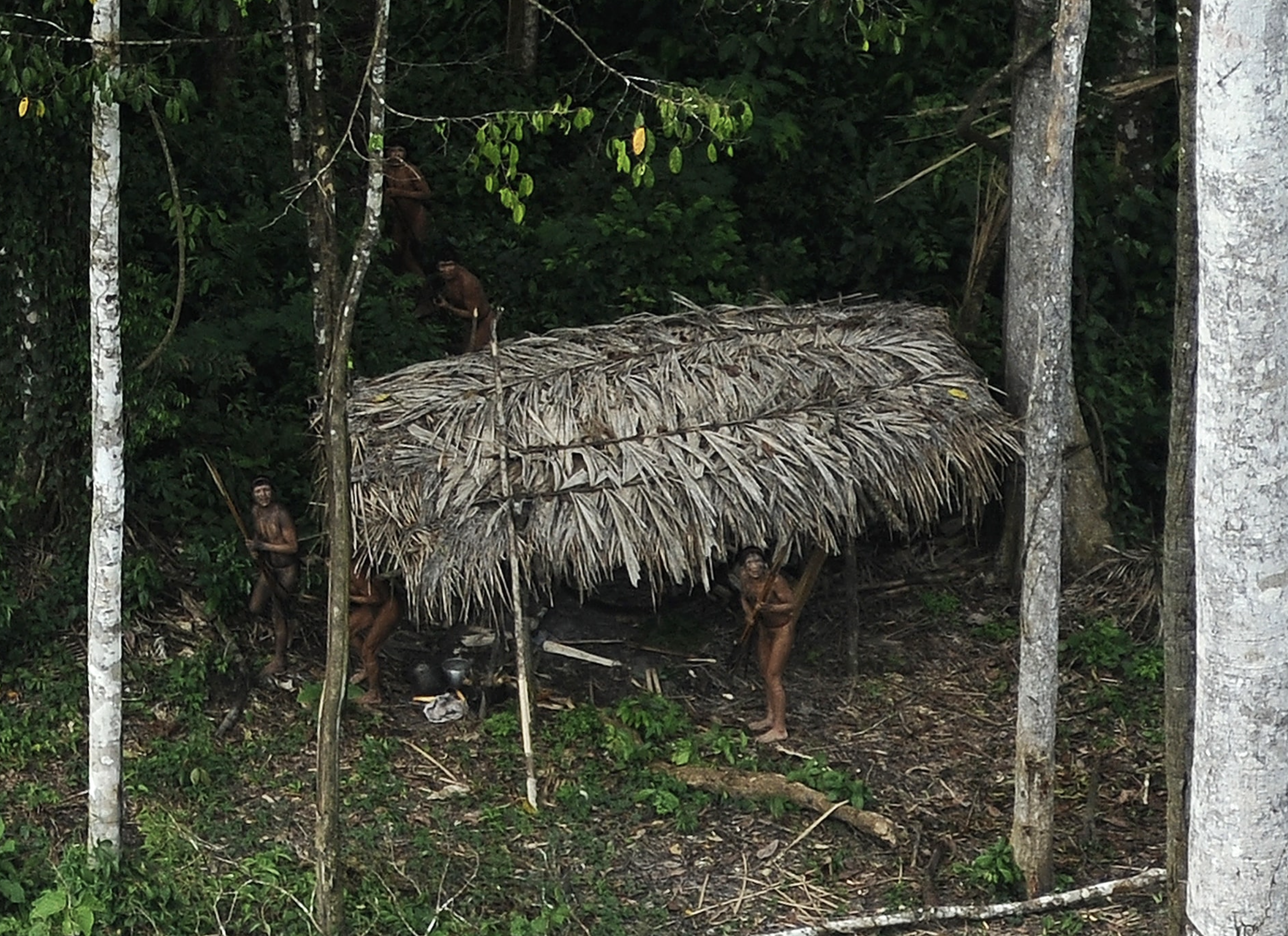 Indians who are considered uncontacted by anthropologists react to a plane flying over their community in the Amazon basin near the Xinane river in Brazil's Acre State, near the border with Peru, March 25, 2014. Photo: Reuters