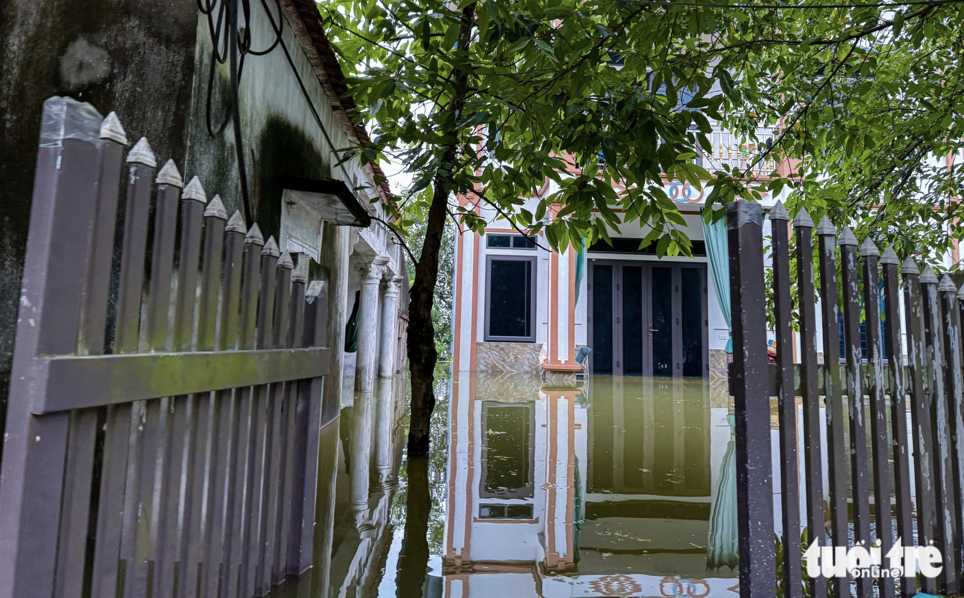 A house in Nhan Ly Hamlet, Nam Phuong Tien Commune, Chuong My District is flooded. Photo: Quang Vien / Tuoi Tre