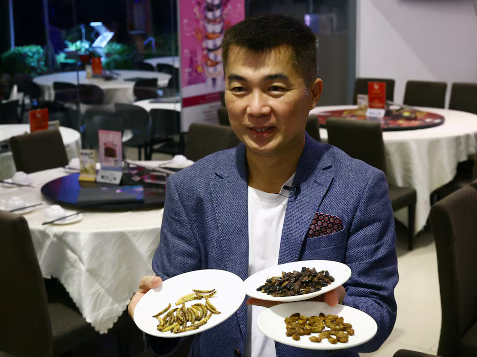 Restaurant owner Francis Ng shows the different types of worm and cricket ingredients that he will use for insect-based dishes at the House of Seafood restaurant in Singapore July 16, 2024. Photo: Reuters