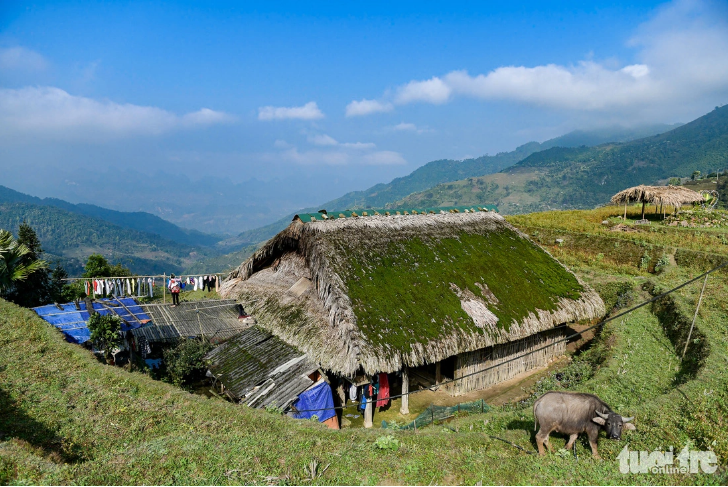 The roof of a stilt house is covered with moss in Xa Phin Village, Vi Xuyen District, Ha Giang Province. Photo: Nam Tran / Tuoi Tre