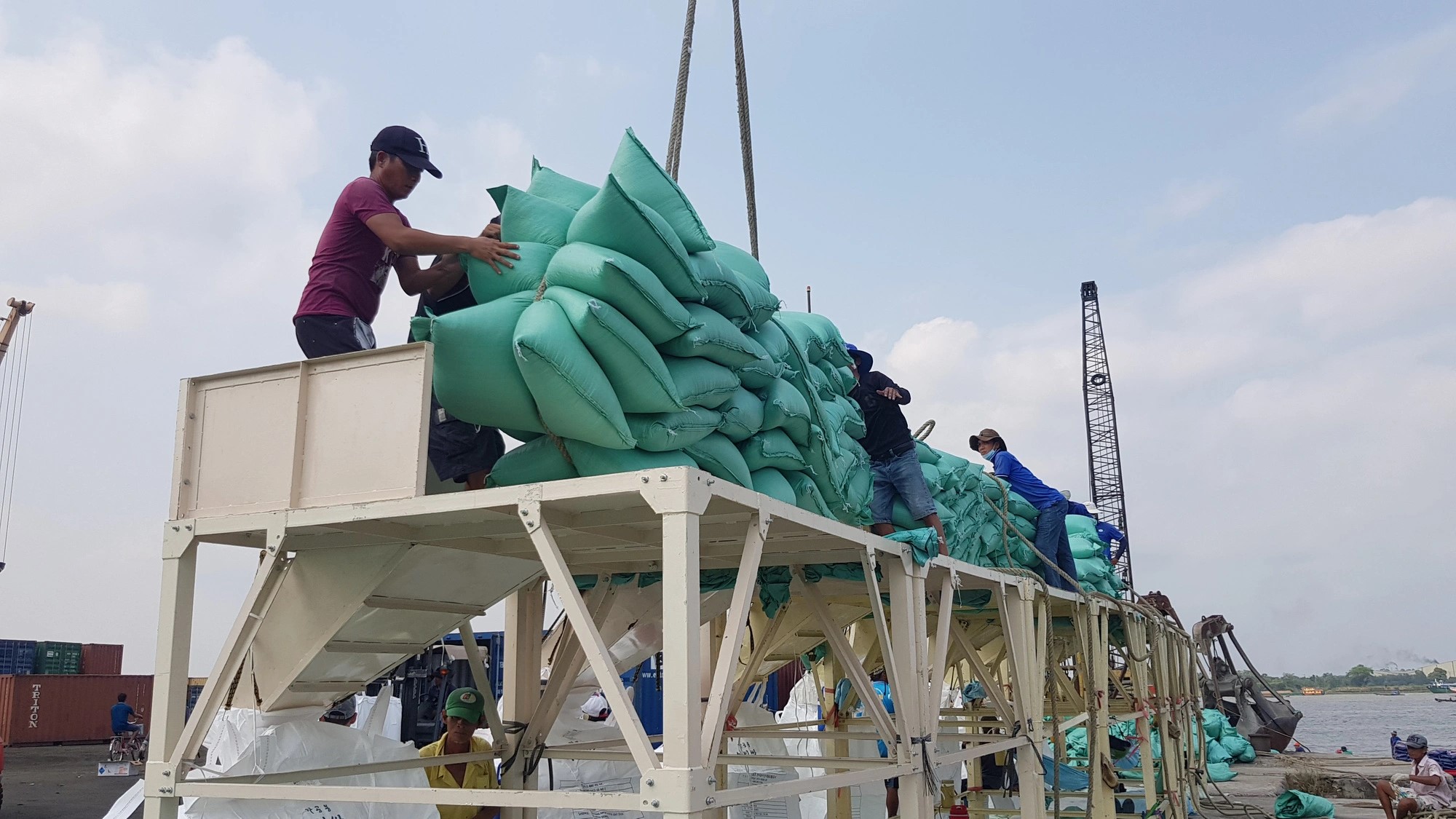 Bags of rice are put onto boats during the harvest season in the Mekong Delta region. Photo: Buu Dau / Tuoi Tre