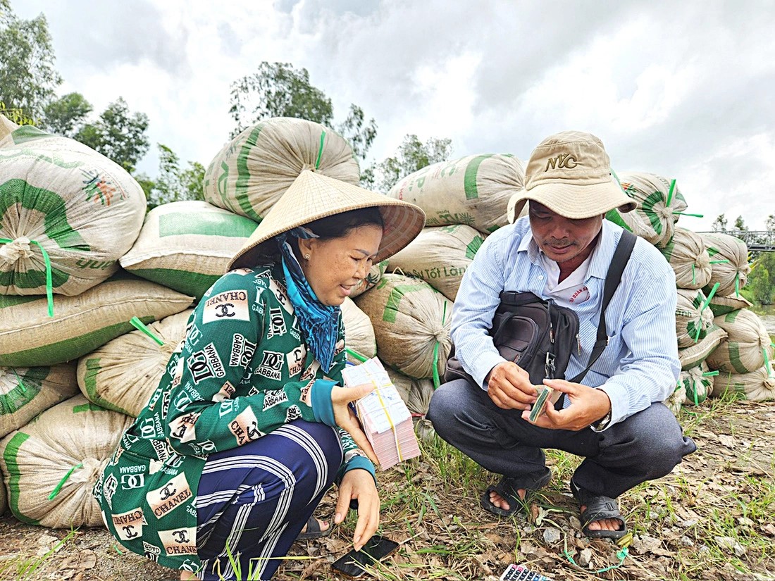 Bright prospects for Vietnamese rice