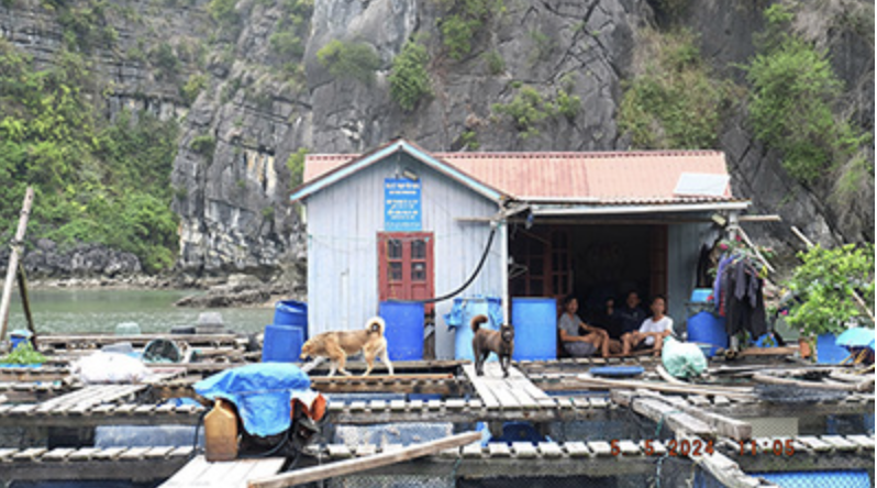 A corner of Vung Vieng Fishing Village that appears in an album of photos taken by the three Vietnamese students. The album was registered for the ninth International High School Students’ Photo Festival Exchange in Japan from August 19 to 25. Photo: Thao Tien / Tuoi Tre