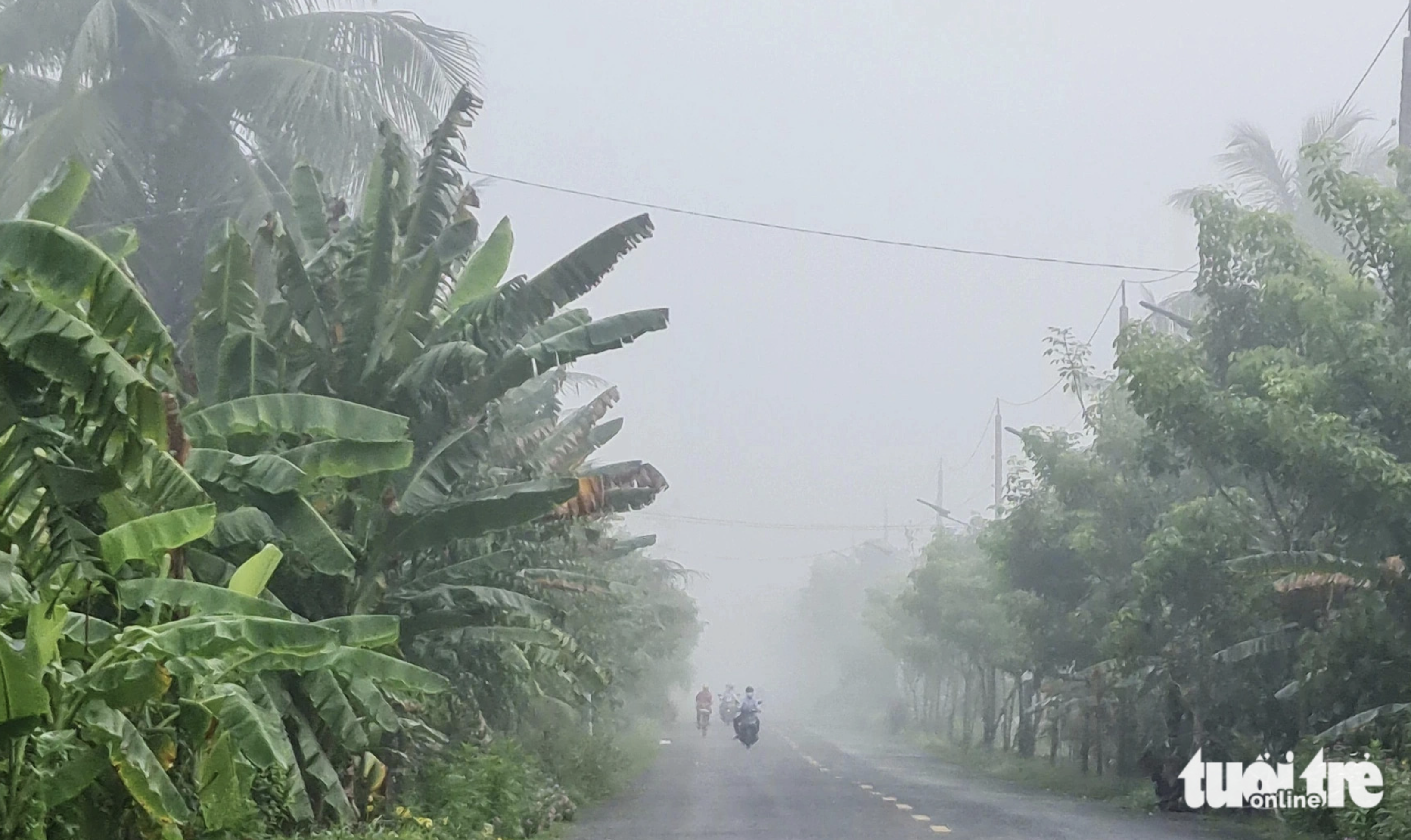 A road in Ben Tre Province is shrouded in dense mist on August 5, 2024. Photo: Mau Truong / Tuoi Tre