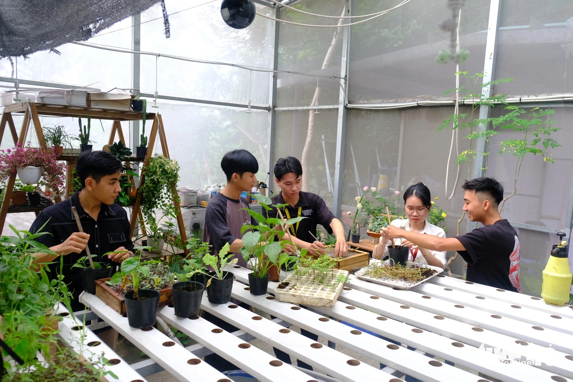 Botanical paintings incorporate repurposed wood and bamboo, beautiful plants, herbs, and food. Photo: Ngoc Phuong / Tuoi Tre