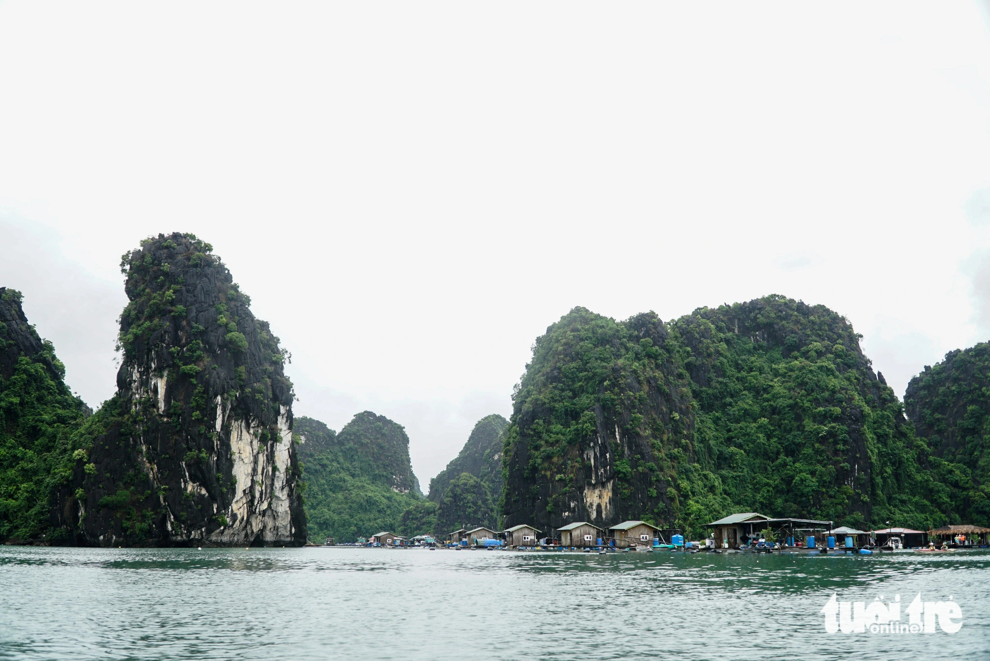 Small raft houses float on the water in Vung Vieng fishing village on Ha Long Bay in Quang Ninh Province, northern Vietnam. Photo: Nguyen Hien / Tuoi Tre