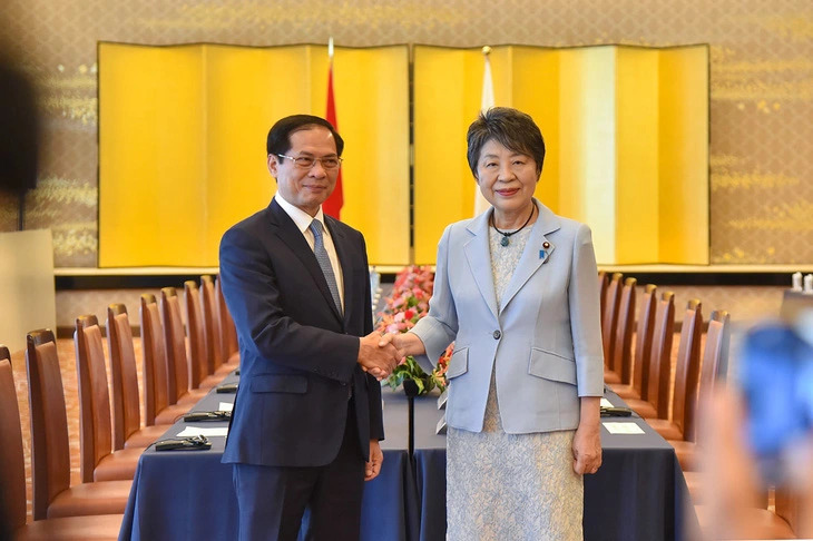 Vietnam, Japan keen on boosting ODA cooperation, fostering deeper ties