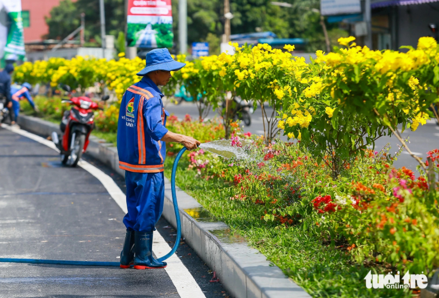 Flowering trees were grown in the median strip near the tunnel. Photo: Chau Tuan / Tuoi Tre