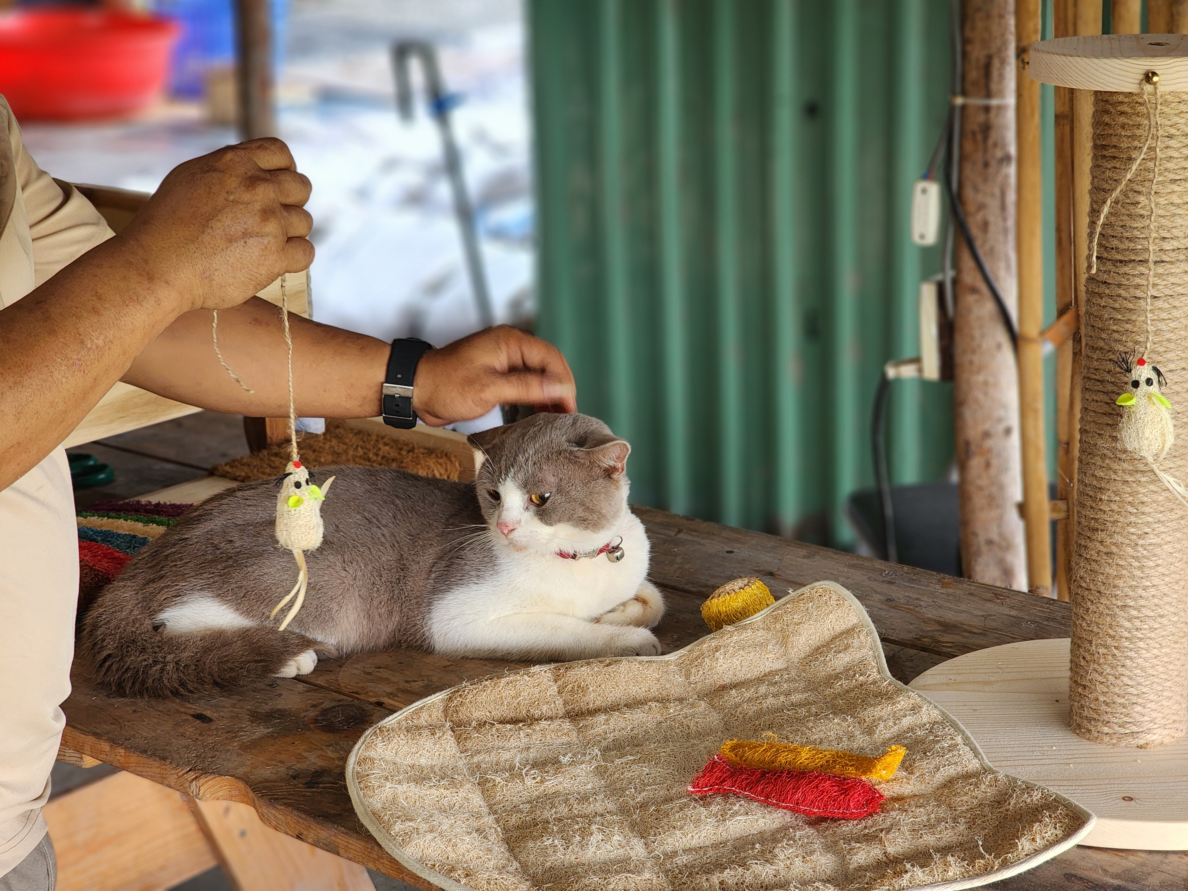 Vietnamese man makes eco products, including pet toys, from loofah