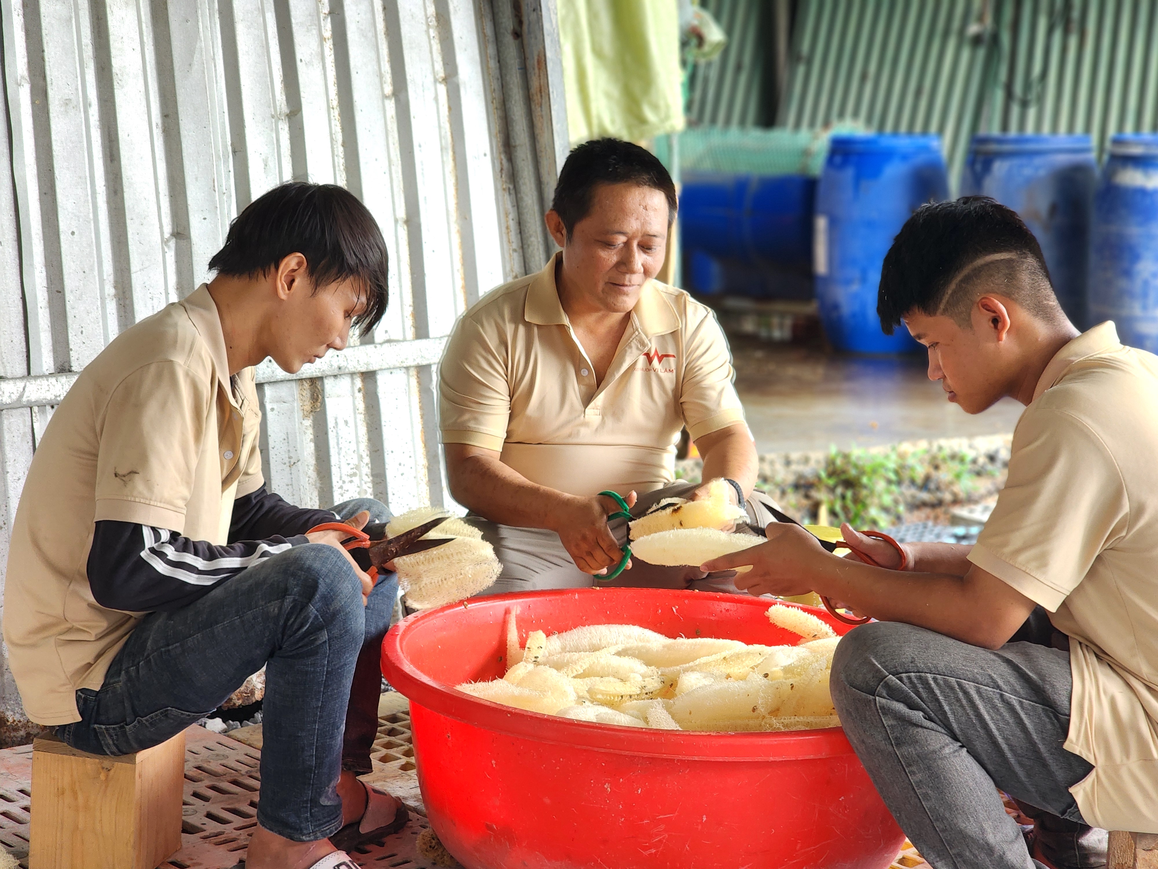 Nhan and his staff cut loofah into pieces before drying them. Photo: Ngoc Phuong / Tuoi Tre News