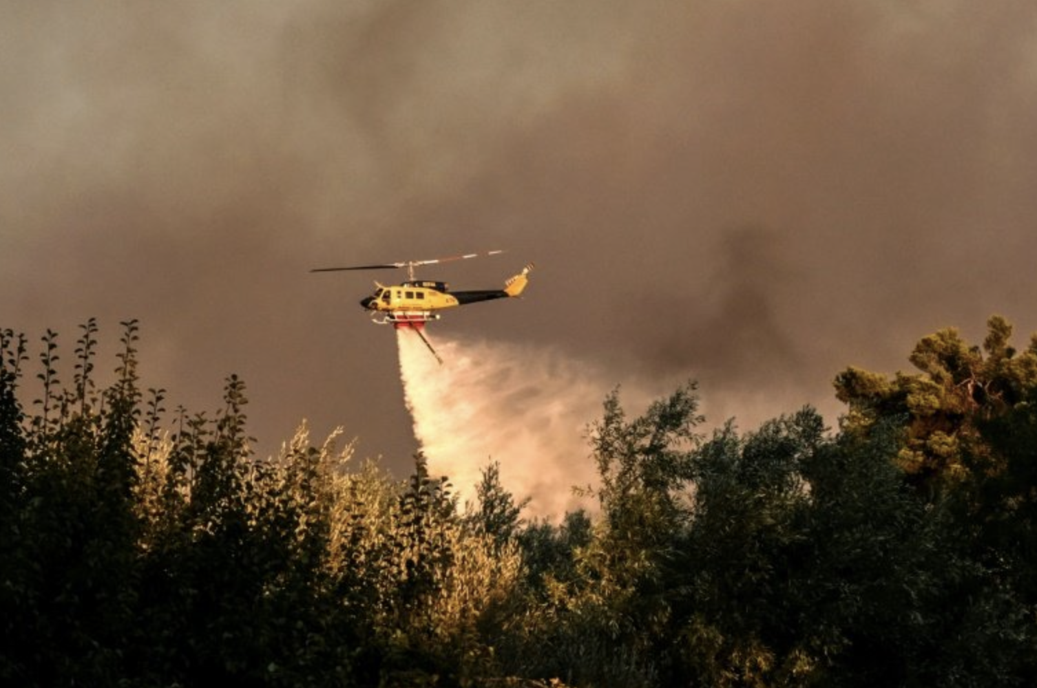 More than 400 firefighters backed by 110 vehicles, 29 firefighting aircraft and helicopters are fighting the blazes. Photo: AFP