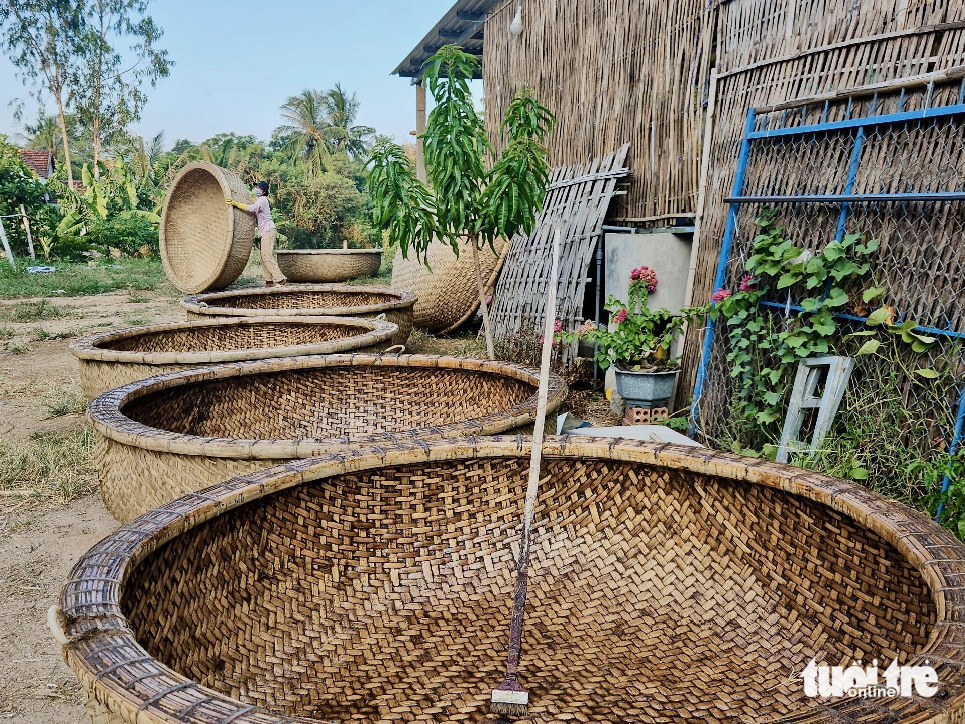 Vietnam basket boat village draws tourists with traditional craft using cow dung waterproofing technique