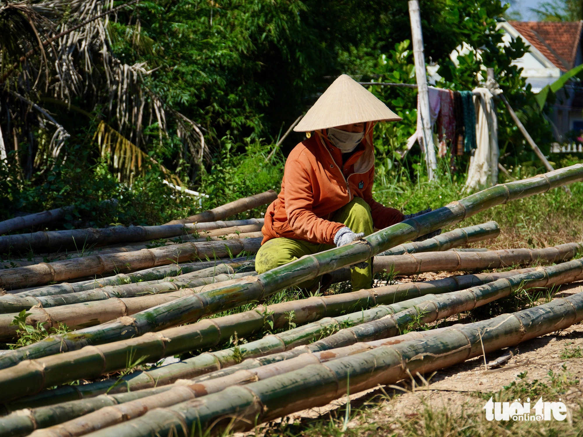 Truong Thi Bich Kieu peels bamboo tubes at Phu My basket boat craft village in Tuy An District, Phu Yen Province, south-central Vietnam. Photo: Minh Chien / Tuoi Tre