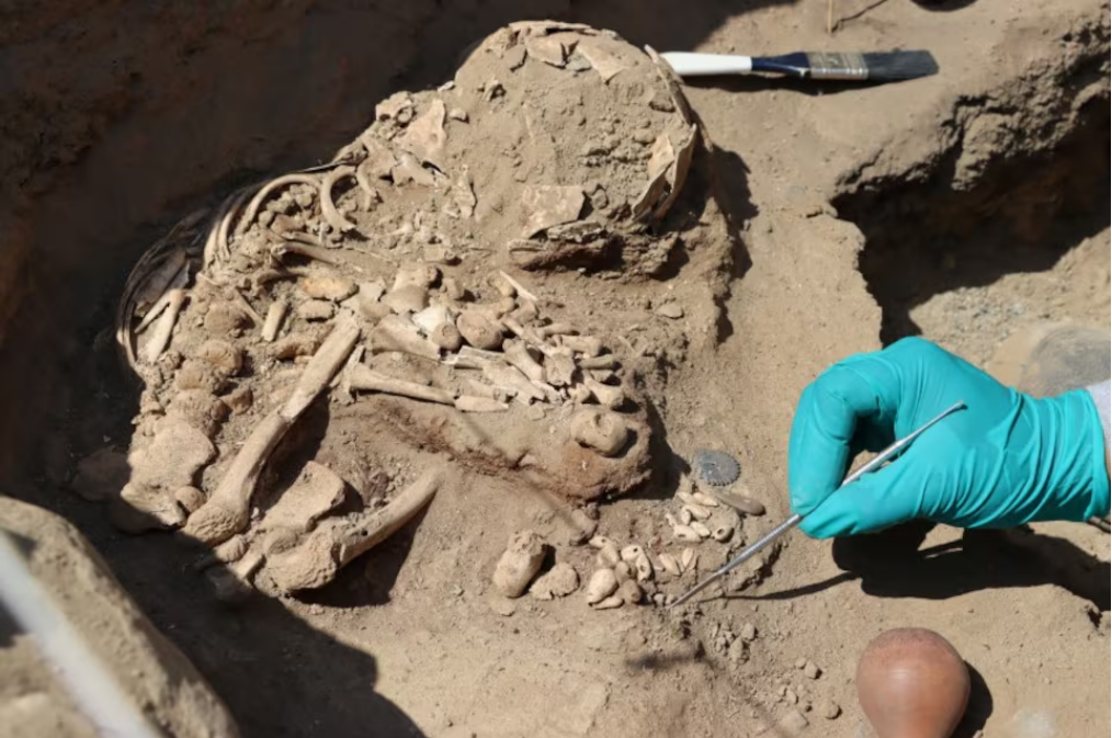 An archaeologist cleans an area where human remains were discovered at burial sites from around 3,800 years ago, in La Libertad, Peru August 9, 2024. Photo: Reuters