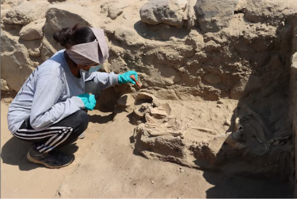 An archaeologist cleans an area where human remains were discovered at burial sites from around 3,800 years ago, in La Libertad, Peru August 9, 2024. Photo: Reuters