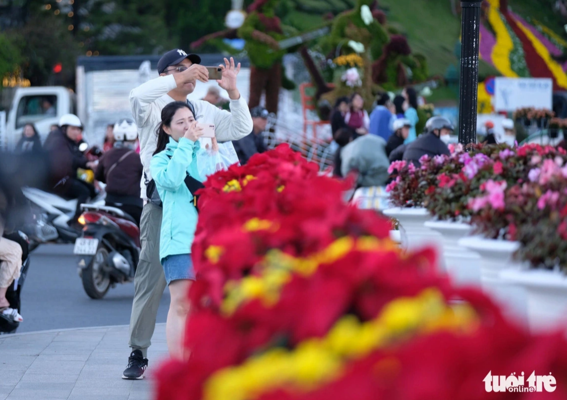 Locals, tourists to be delighted by nearly-one-month Da Lat flower fest, alongside music shows