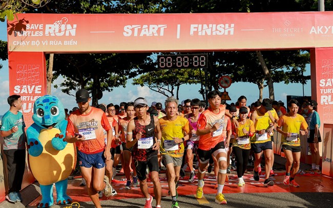 The runners saw the turtle while participating in Save Turtles Run, a running event to preserve sea turtles. Photo: N.S. / Tuoi Tre