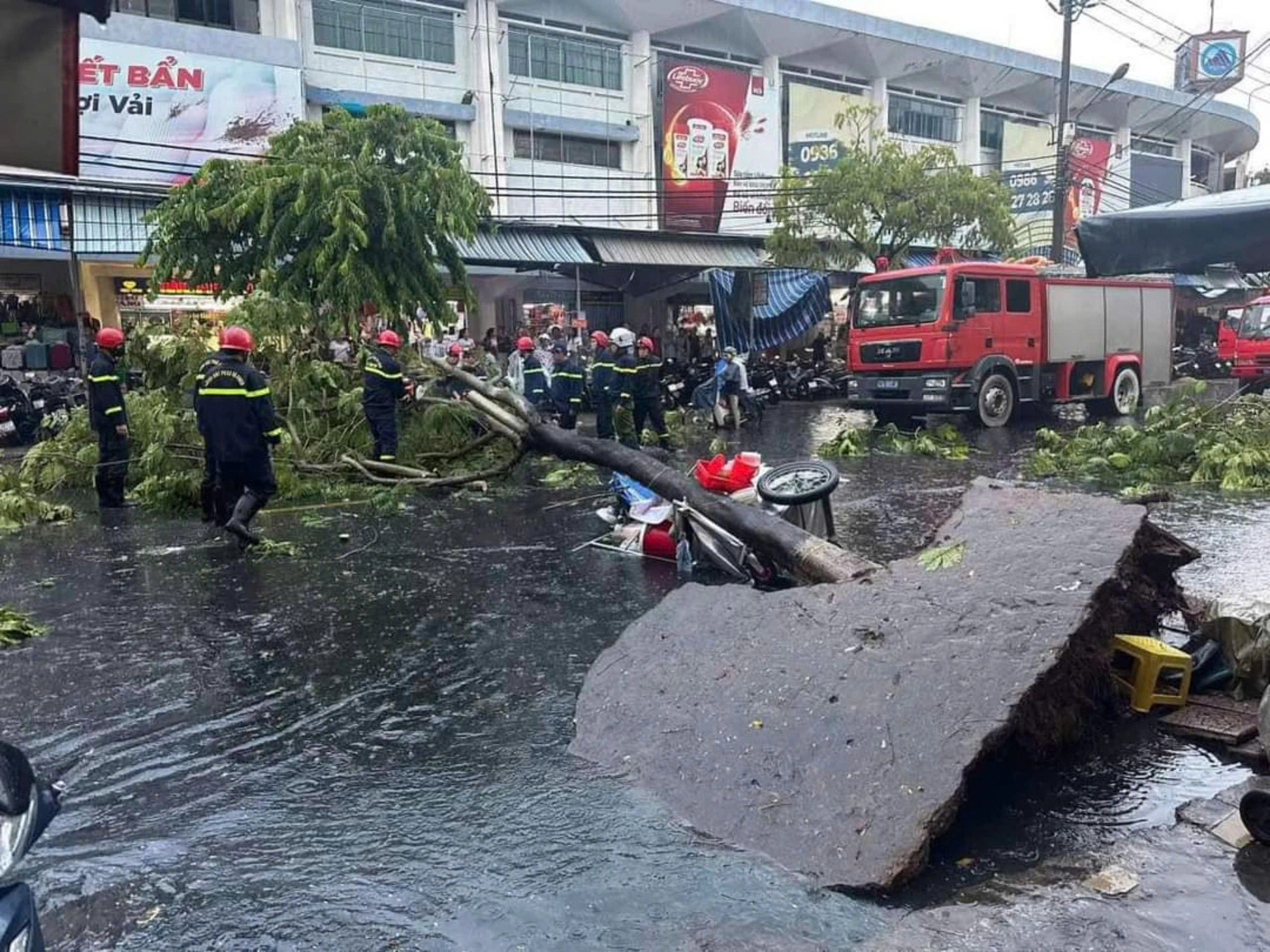 Woman injured by uprooted tree in Da Nang