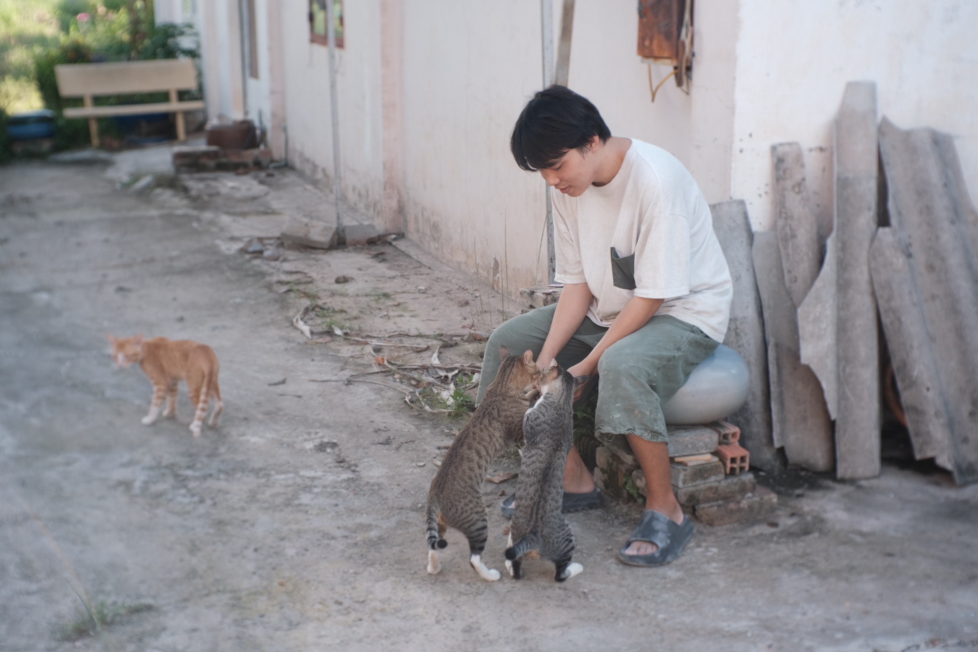 Tu plays with cats. Photo: Ngoc Phuong / Tuoi Tre News