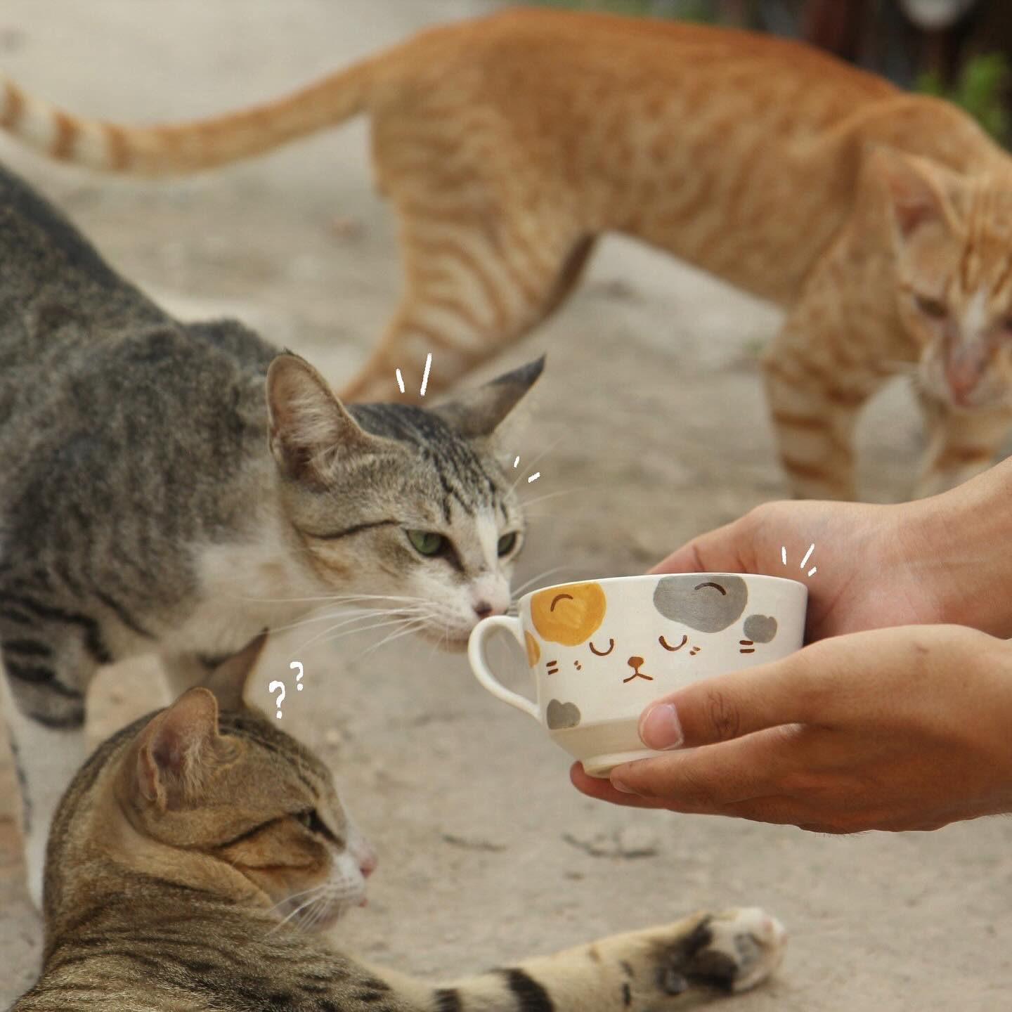 Vietnamese man's love for stray cats inspires cute ceramic products