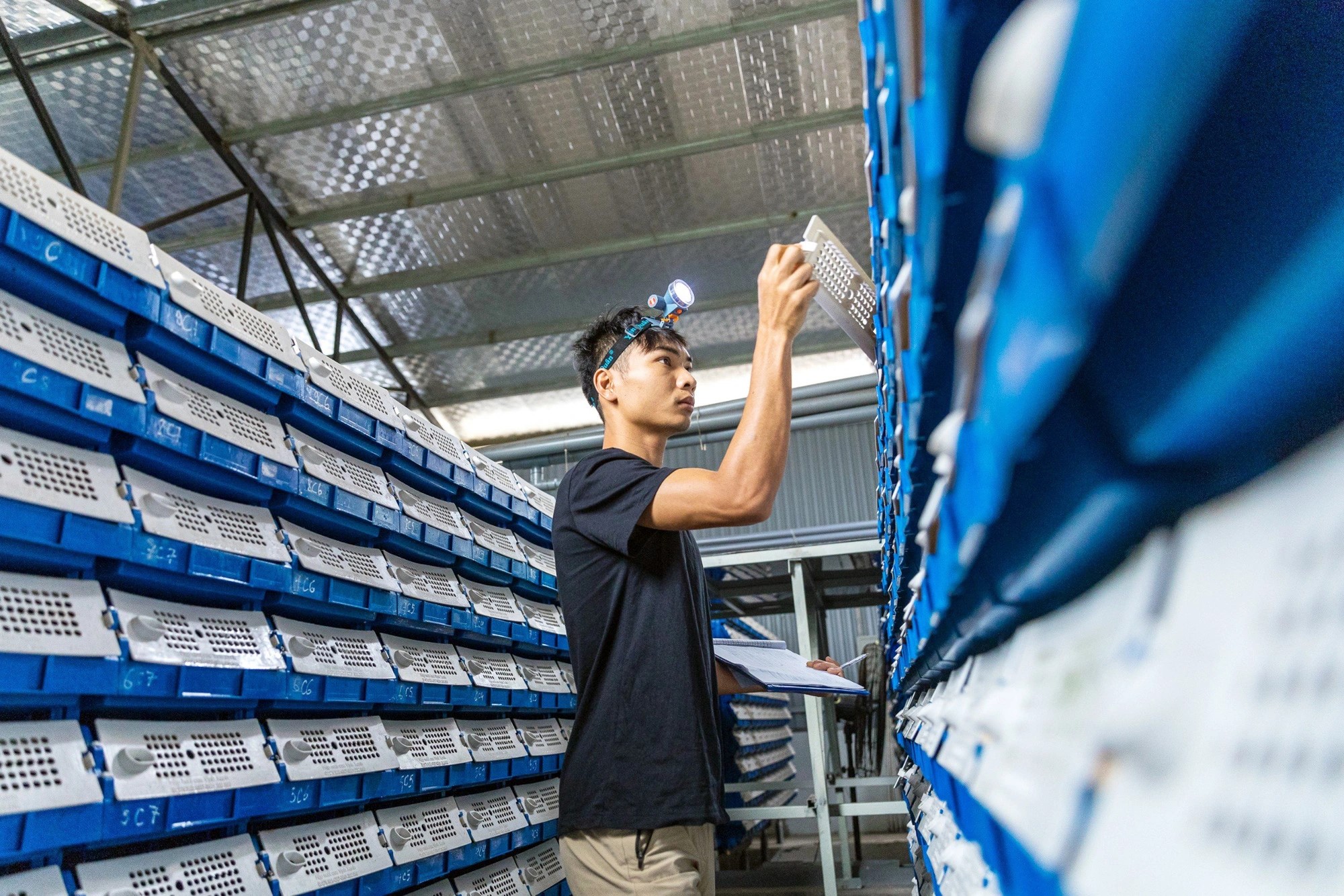 Hanoi farmer adopts condo concept for saltwater crab farming