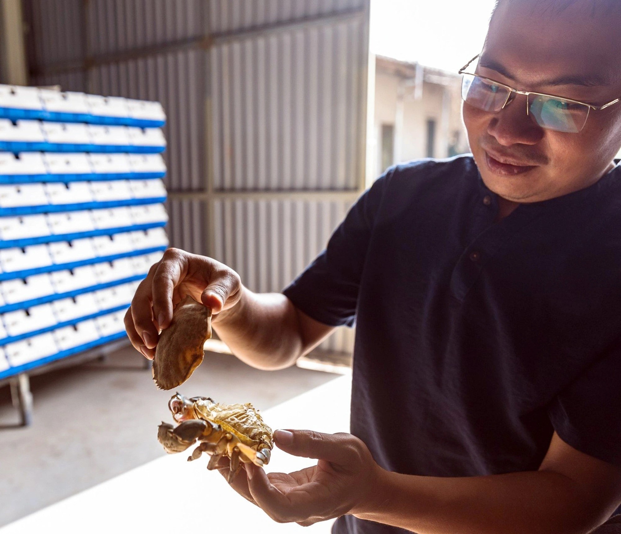 Le Duc Canh holds a soft-shell crab and describes how the shell changes throughout the creature’s life. Photo: Danh Khang / Tuoi Tre