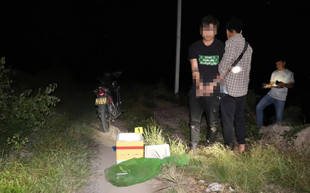 Man arrested for smuggling 7 endangered clouded monitors in southern Vietnam