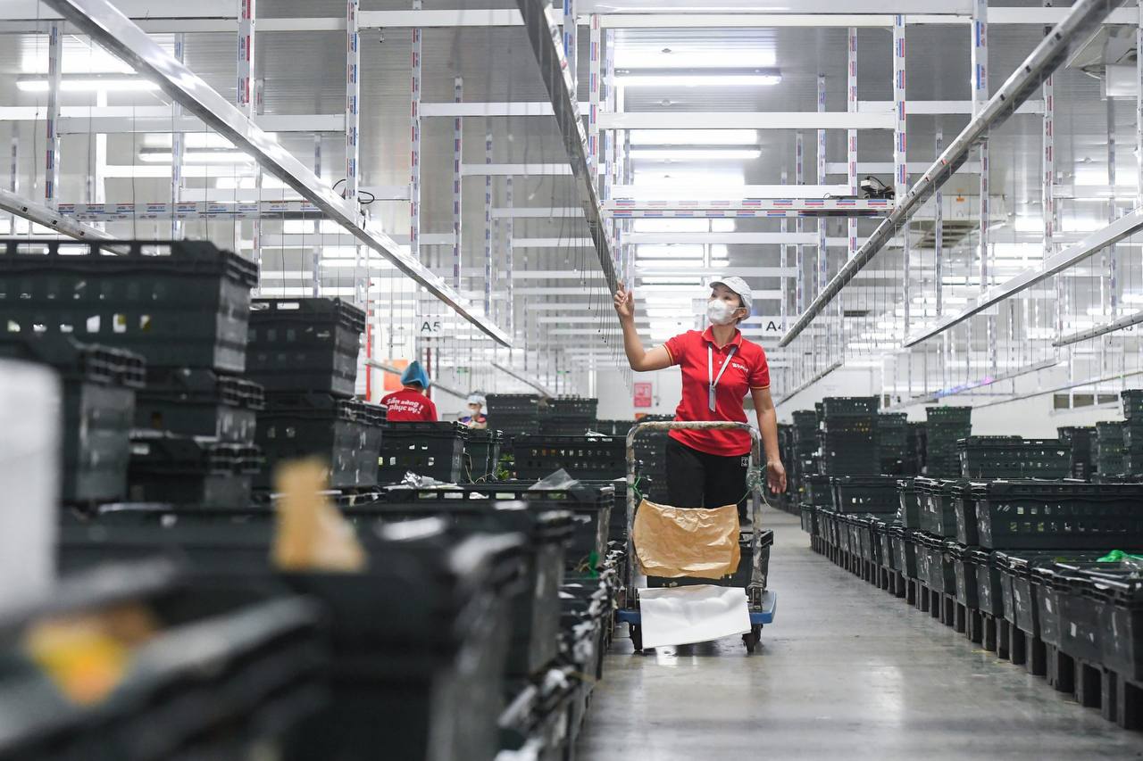 WinCommerce warehouse staff inspects the automated merchandise sorting system. Photo: Supplied