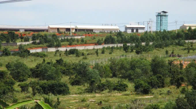 Over-$17,300 fine imposed on operator of polluting pig farms in Vietnam’s Binh Thuan