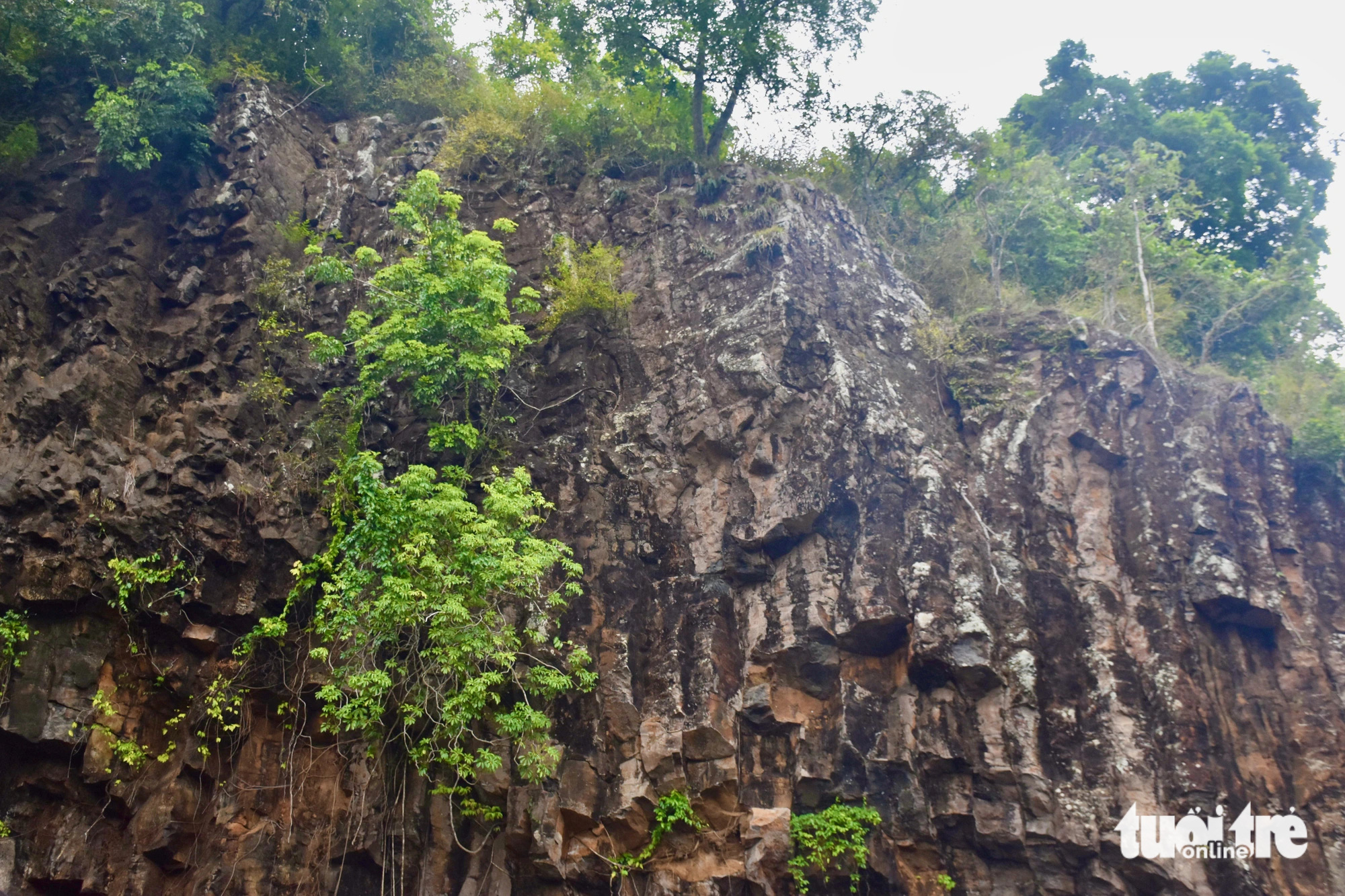 Trees grow from the cliff of Vuc Hom Waterfall in Vinh Xuan Village, An Linh Commune, Tuy An District of Phu Yen Province, south-central Vietnam. Photo: Minh Chien / Tuoi Tre