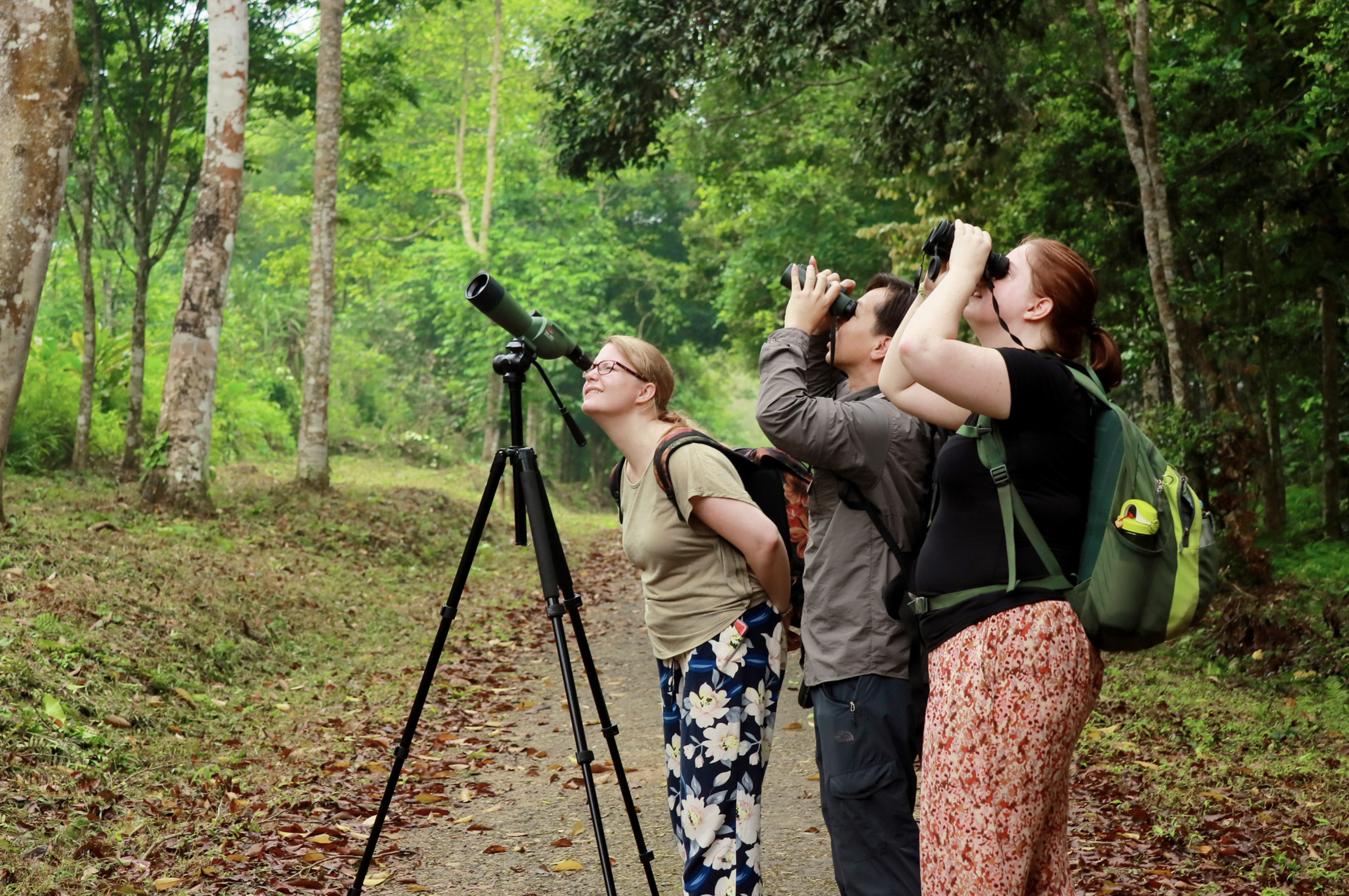 International tourists explore Cuc Phuong National Park in Ninh Binh Province, northern Vietnam. Photo: Cuc Phuong National Park